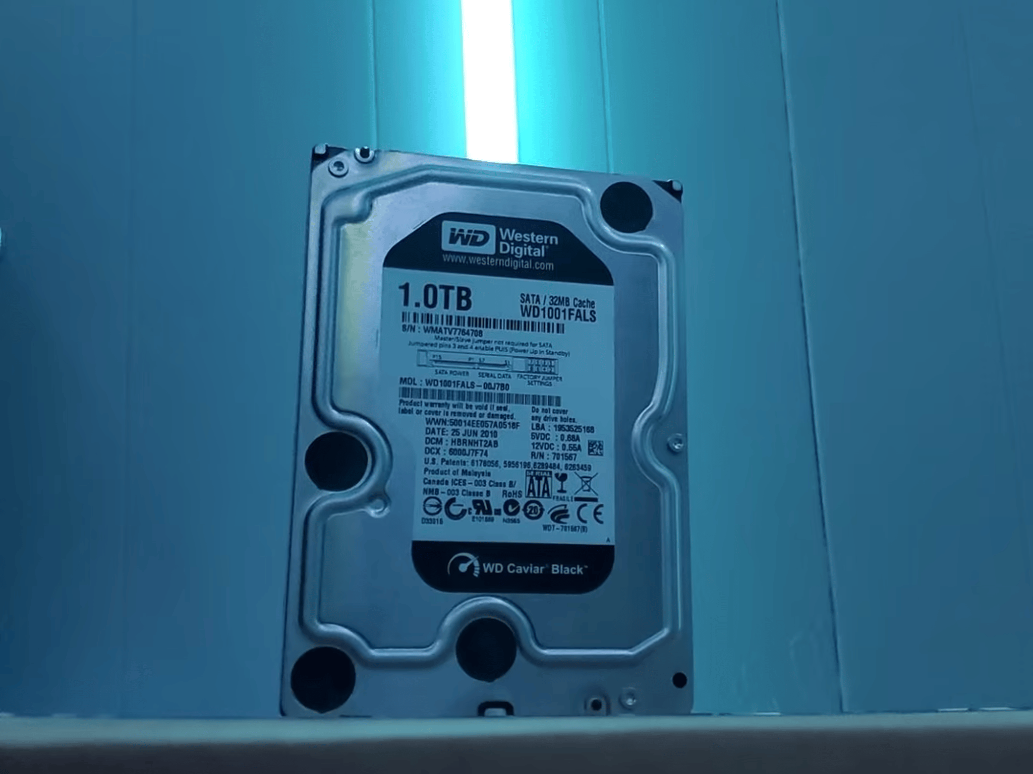 Western Digital Caviar Black 1TB HD for Sena
