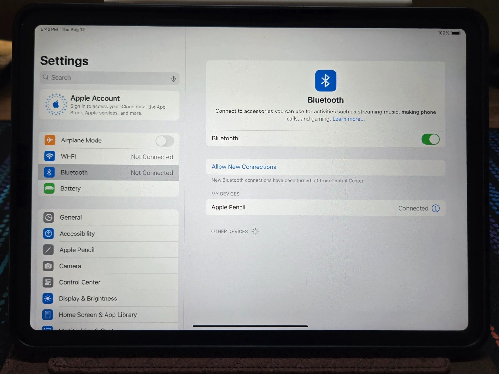 iPad Pro Gen 1 (11-inch) (+Accessories)