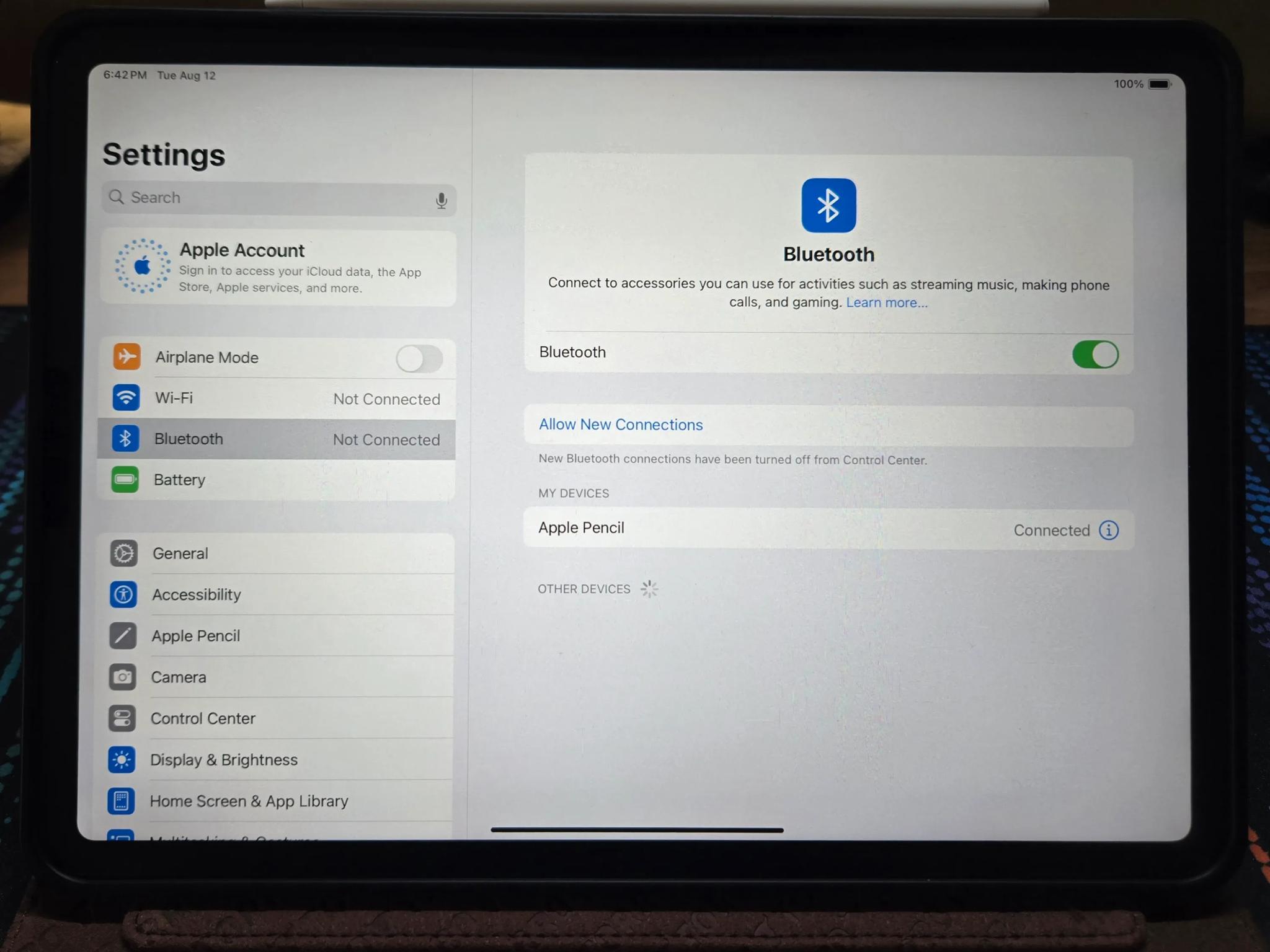 iPad Pro Gen 1 (11-inch) (+Accessories)