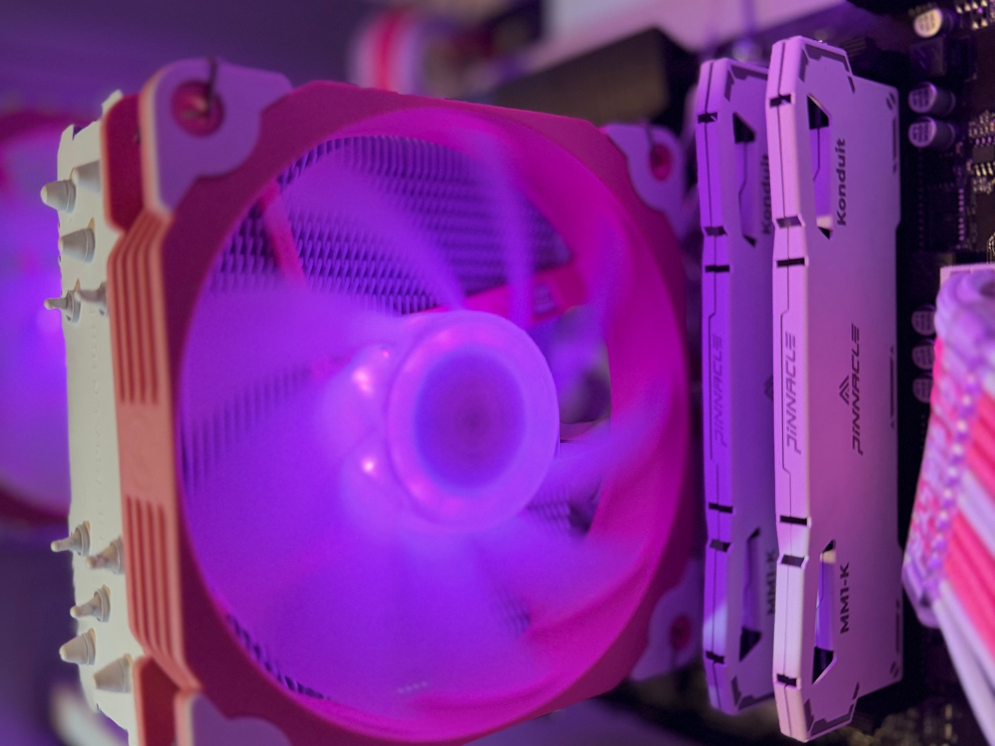 🌸Sakura |Ryzen 5 RTX 3060🌸