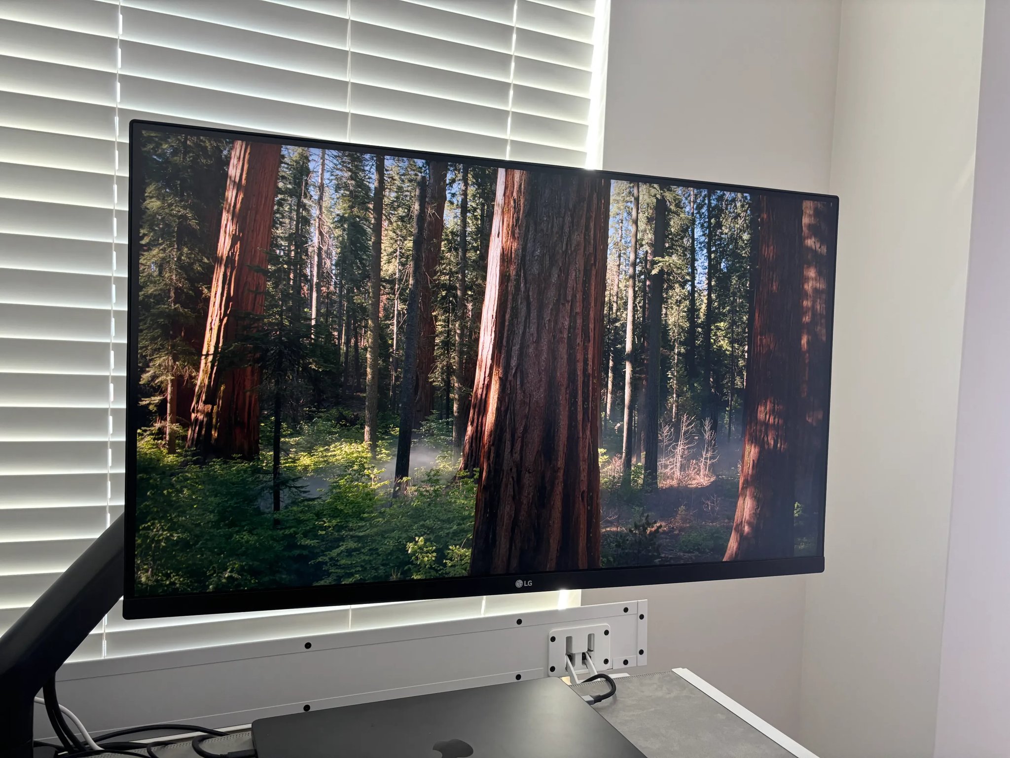 LG 4k Monitor