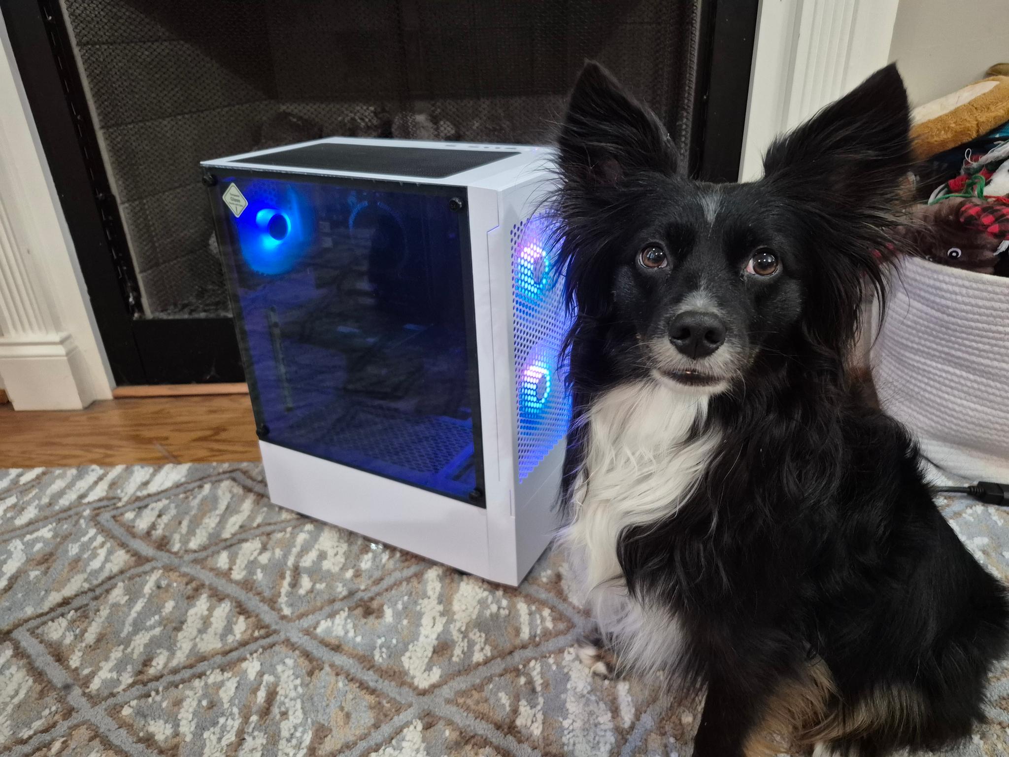 70 FPS Fortnite | 180 Day Warranty | i5-6400, 16GB RAM, 300GB SSD + 640GB HDD, 4GB Nvidia, Win11