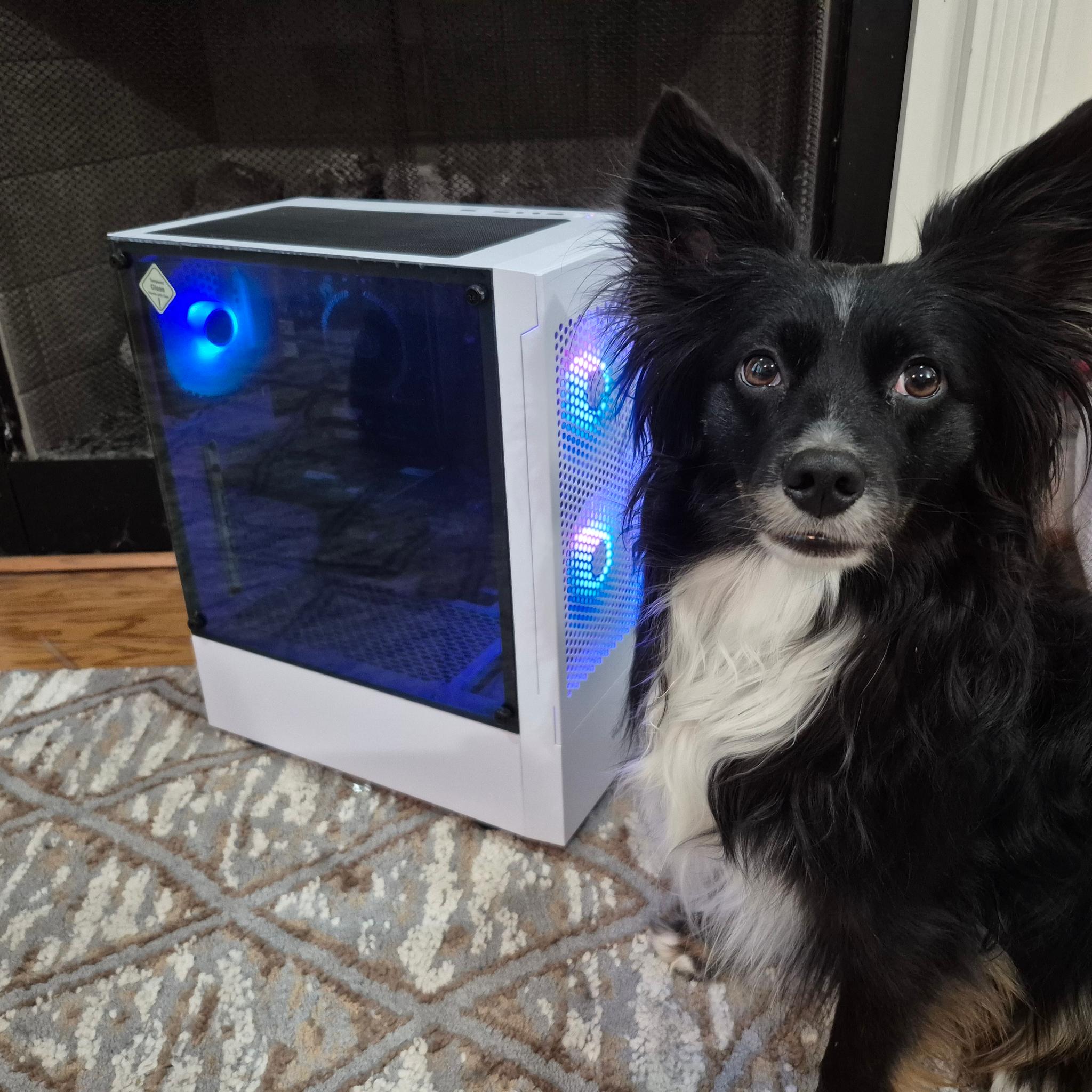 70 FPS Fortnite | 180 Day Warranty | i5-6400, 16GB RAM, 300GB SSD + 640GB HDD, 4GB Nvidia, Win11