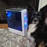 70 FPS Fortnite | 180 Day Warranty | i5-6400, 16GB RAM, 300GB SSD + 640GB HDD, 4GB Nvidia, Win11