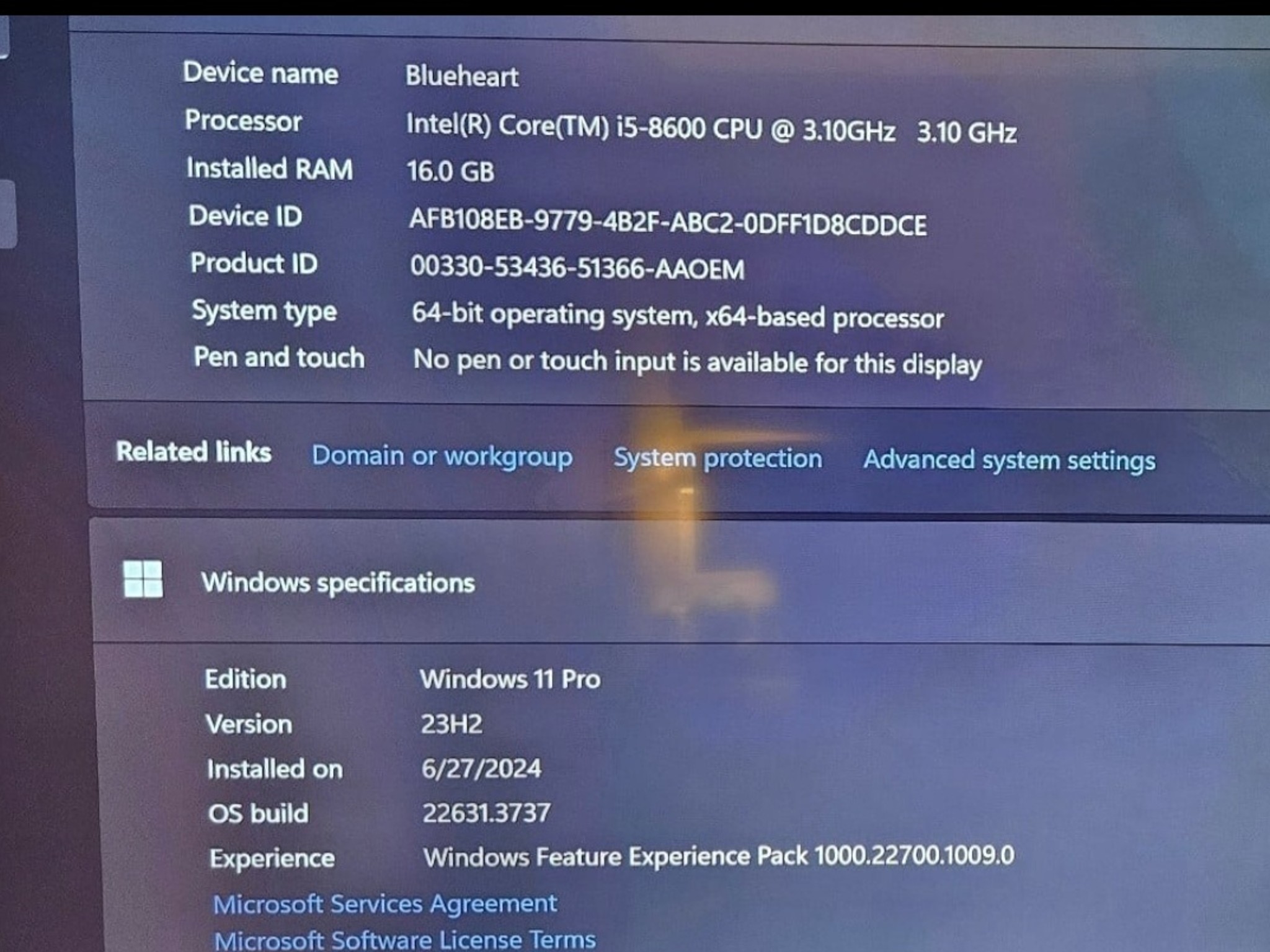 Budget "Blueheart" Gaming PC i5 8600 RX 570