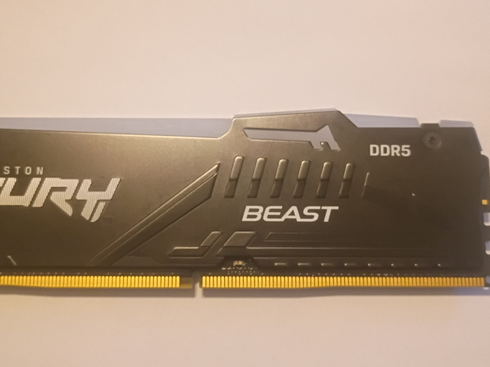 Kingston FURY Beast 16GB DDR5-6000 (1x16GB)