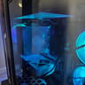 *New* Custom Gaming PC Build