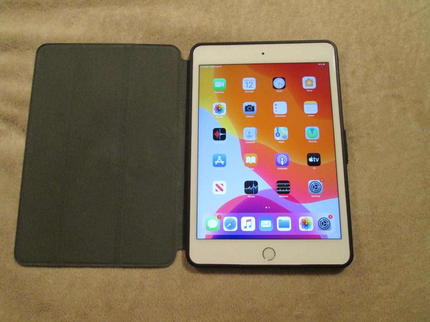 Ipad Mini 5th Generation Wifi + Cellular 256gb With Flip Cover Case
