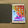 Ipad Mini 5th Generation Wifi + Cellular 256gb With Flip Cover Case