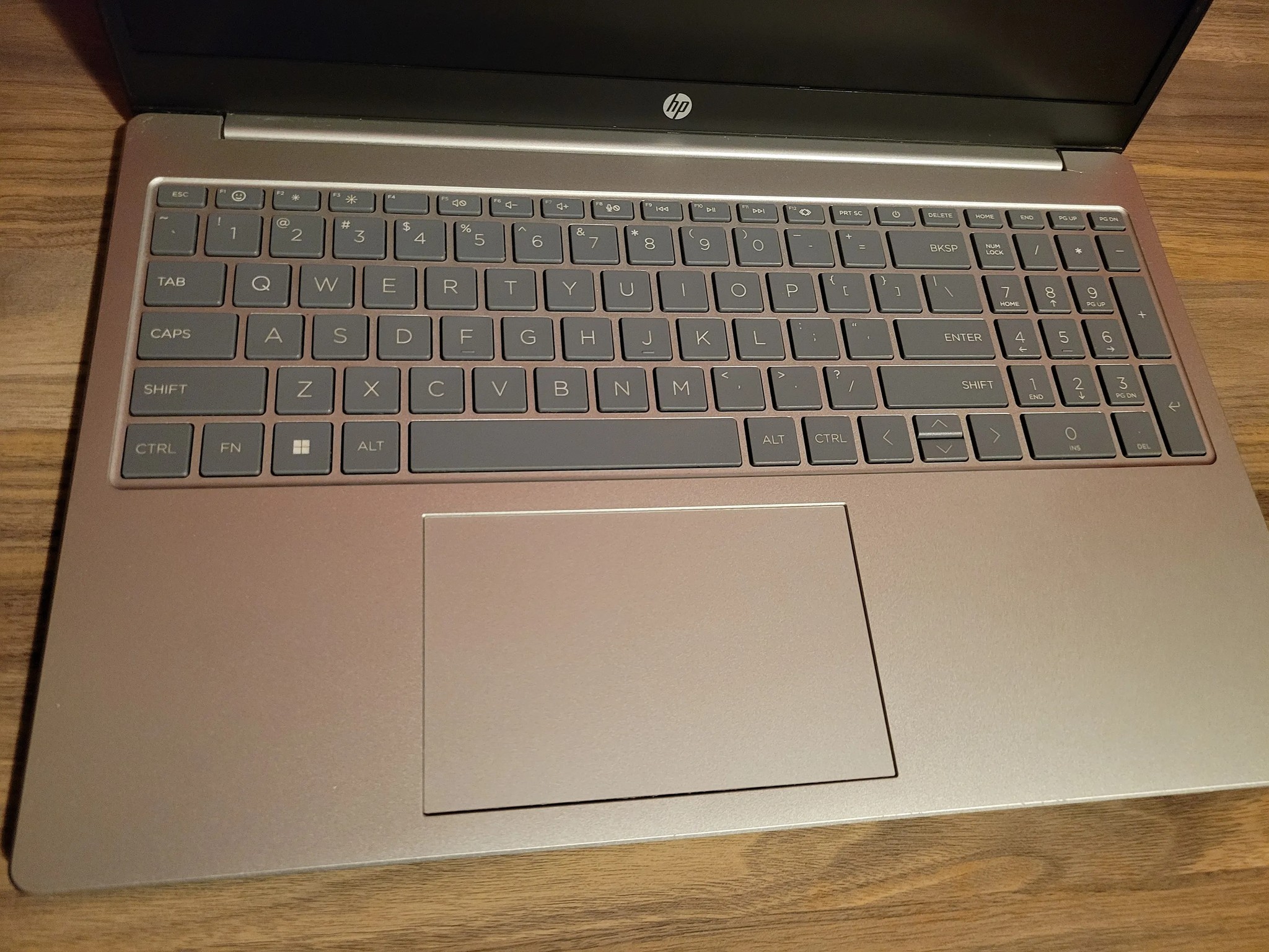 HP Laptop-15.6" Screen-Ryzen 5-256gb-16gb Ram- 15fc0093dx