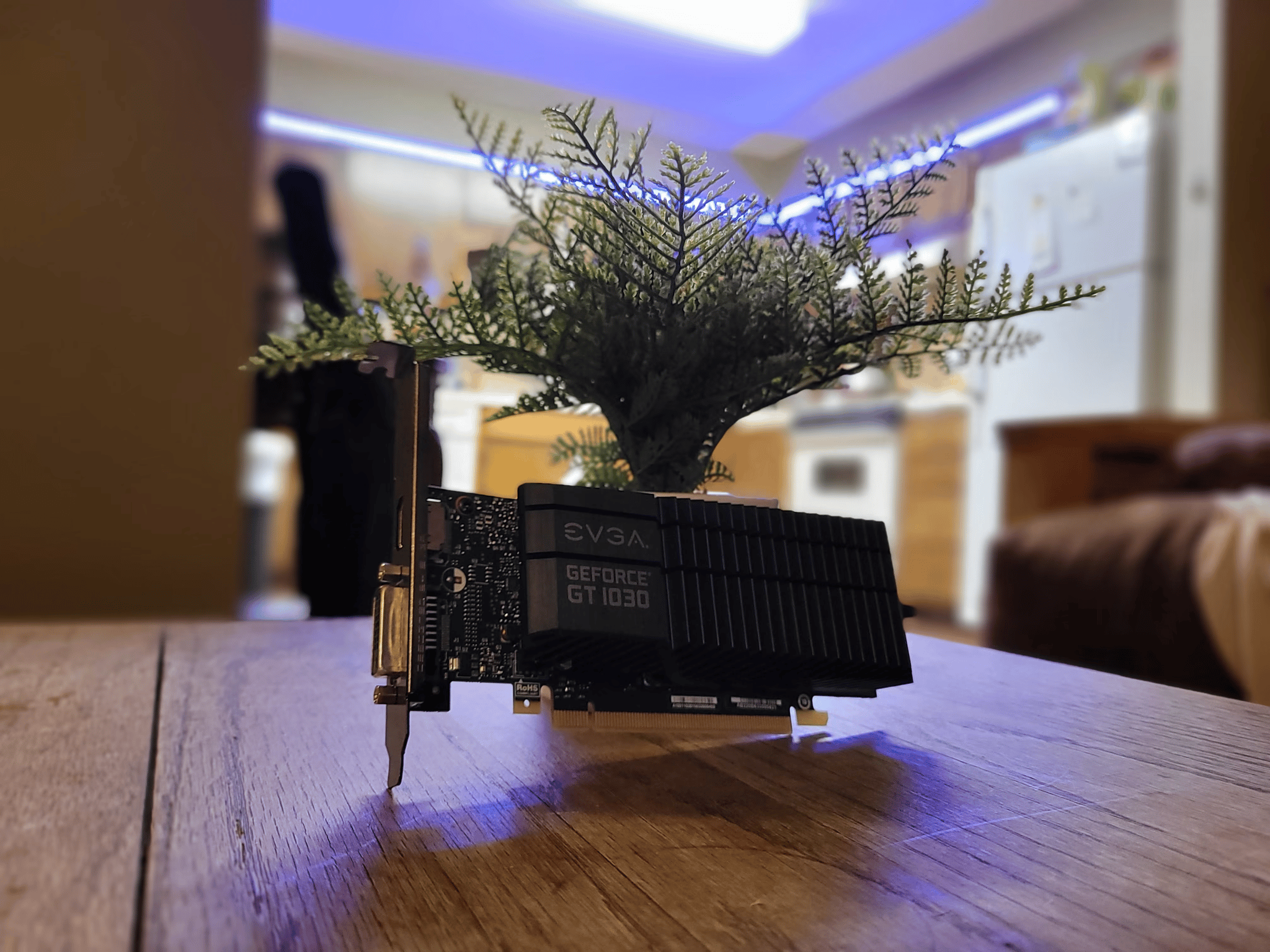 GT 1030 for JackNotch