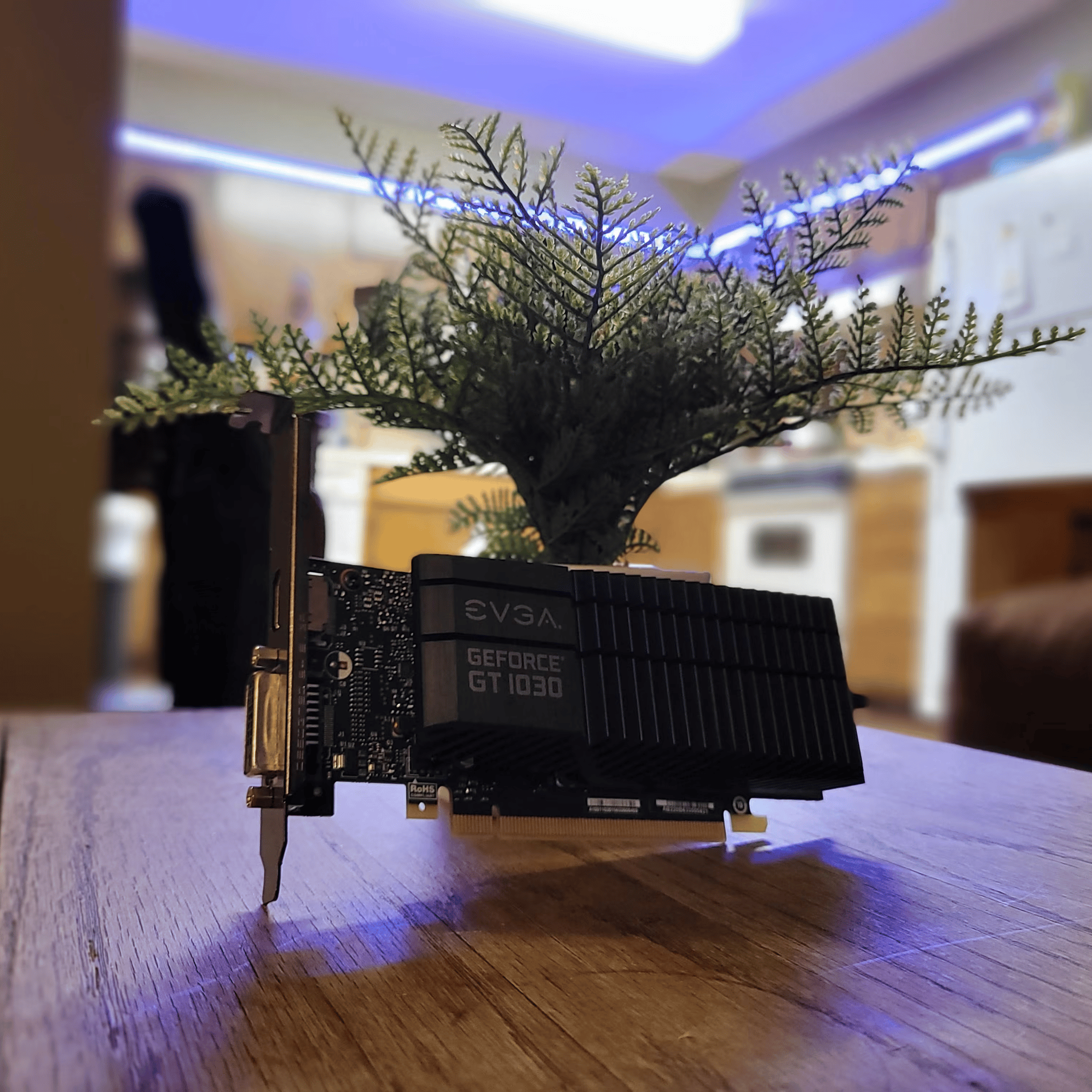 GT 1030 for JackNotch