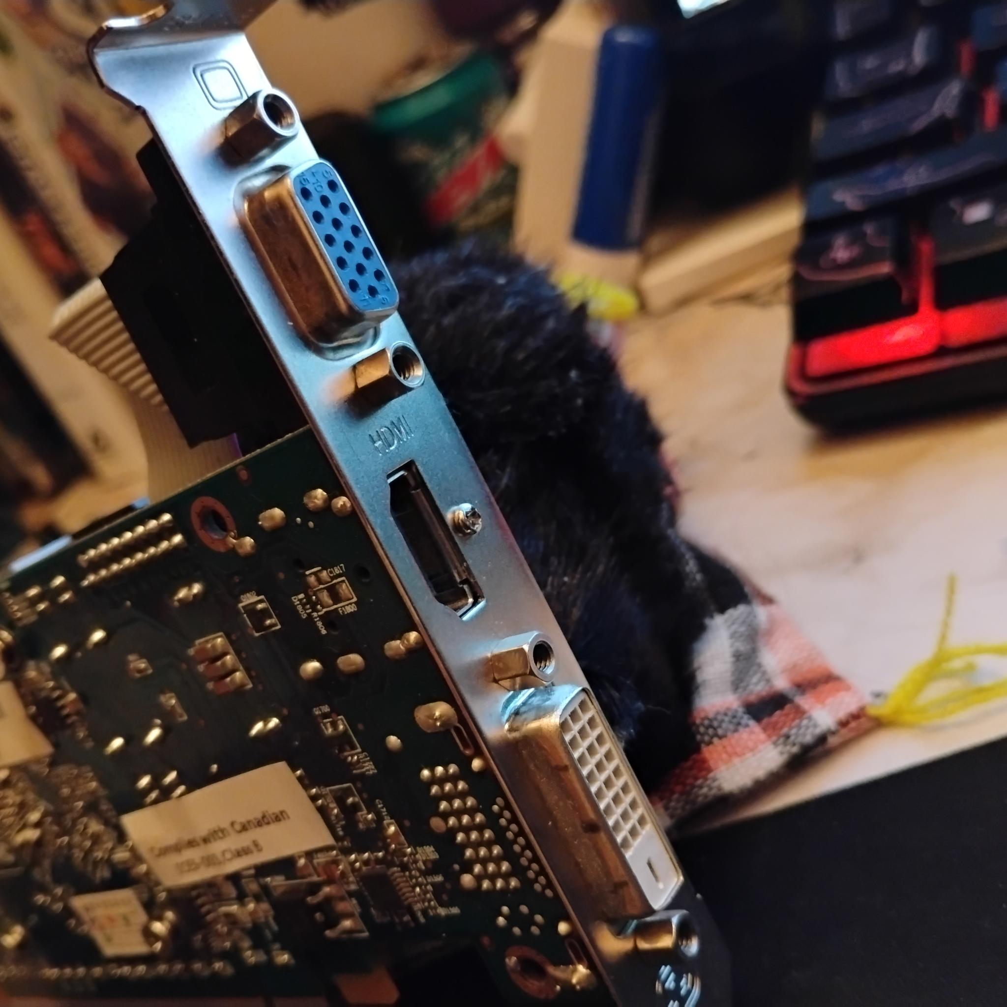 SFF AMD Radeon HD 6670 | DX11