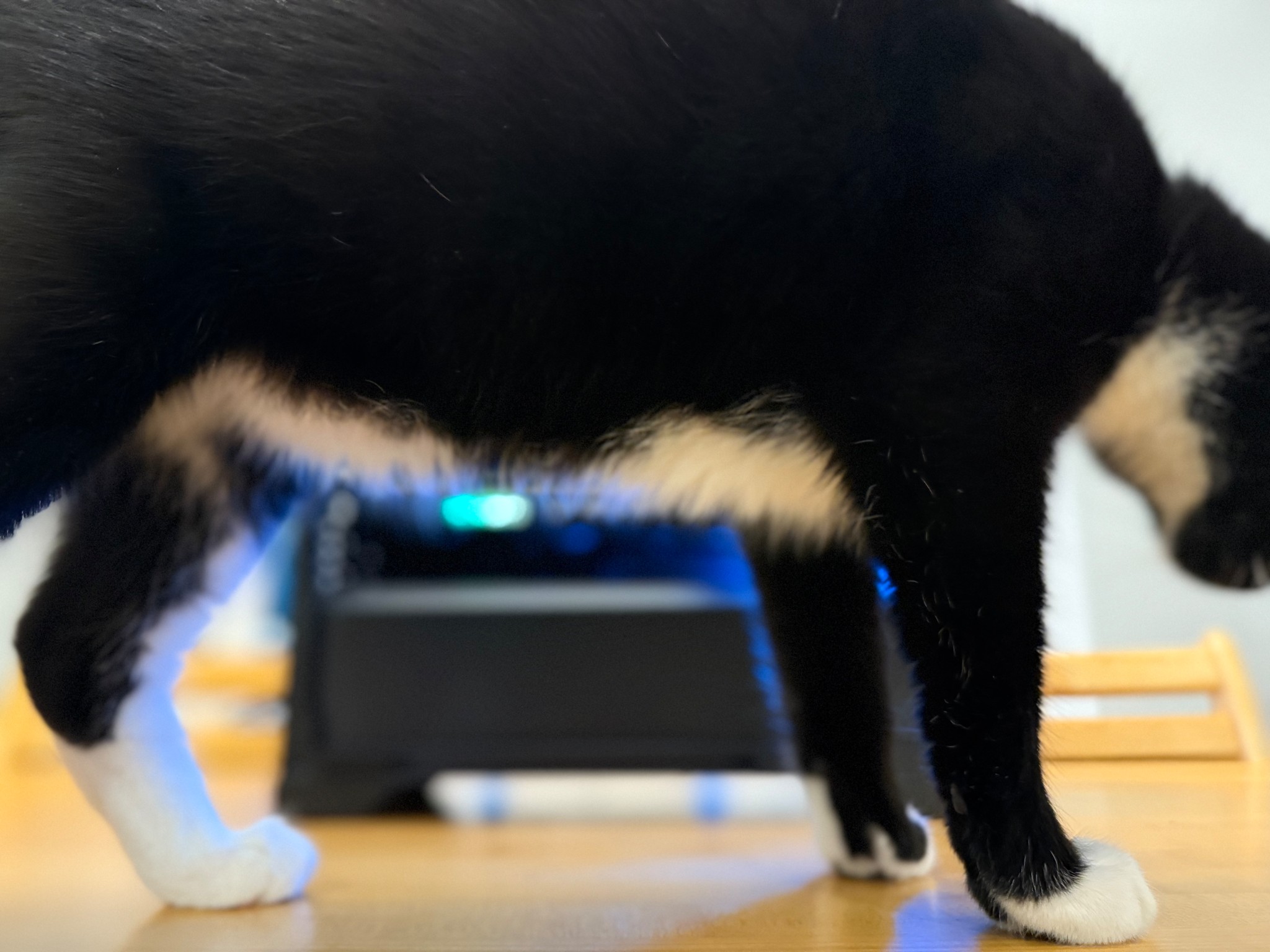 ⚫️☕️| RTX 3070, Ryzen 5 5500, 32gb DDR4, 1tb SSd, WiFi Equipped ARGB Gaming PC