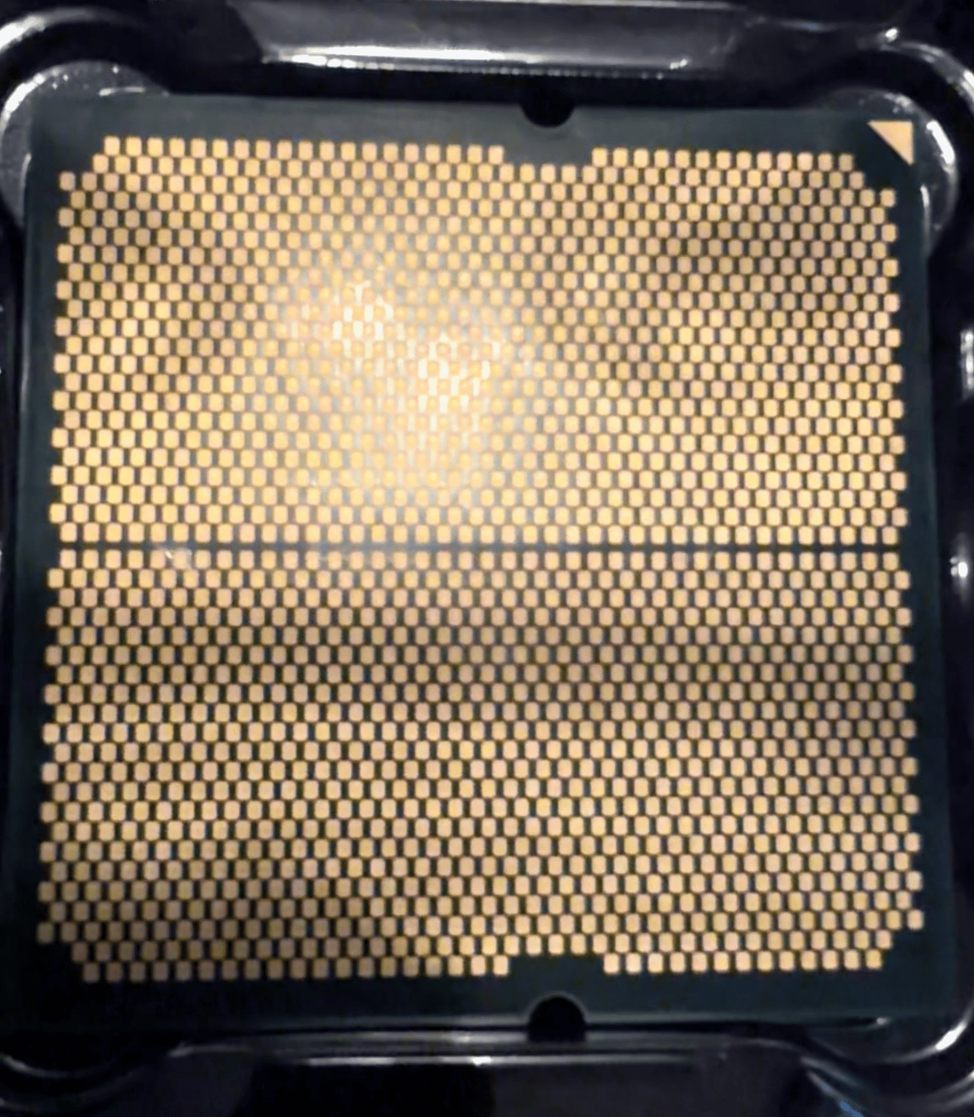 AMD Ryzen 9 7900X