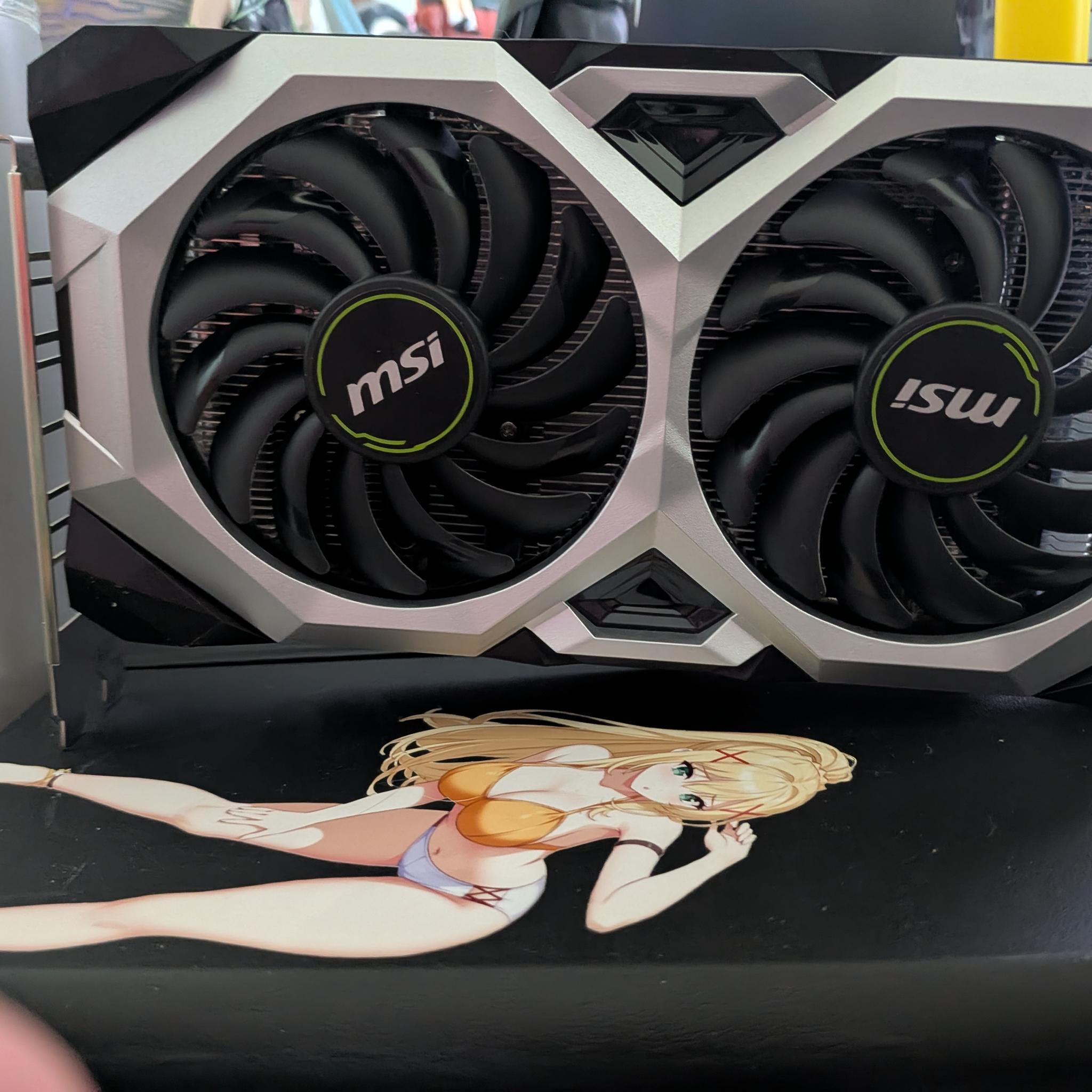 MSI GeForce RTX 2060 VENTUS GP OC