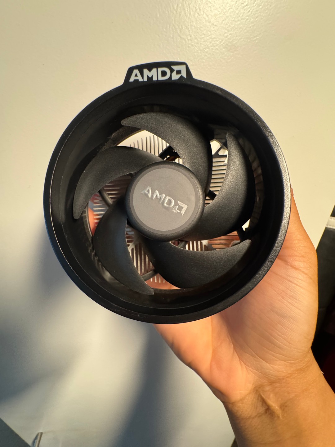 AMD Ryzen 5 5600X | Jawa