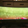 msi MPG 49" Curved OLED Gaming Monitor 144Hz 0.03ms Gaming Monitor FreeSync Premium Pro