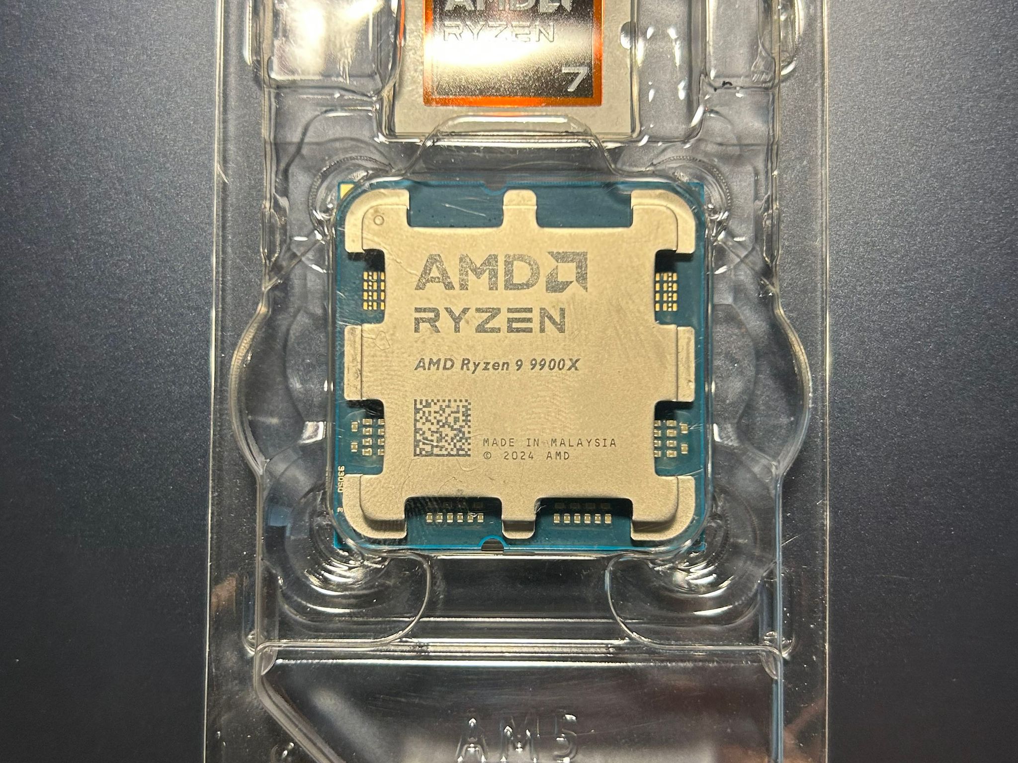 AMD Ryzen 9 9900X CPU
