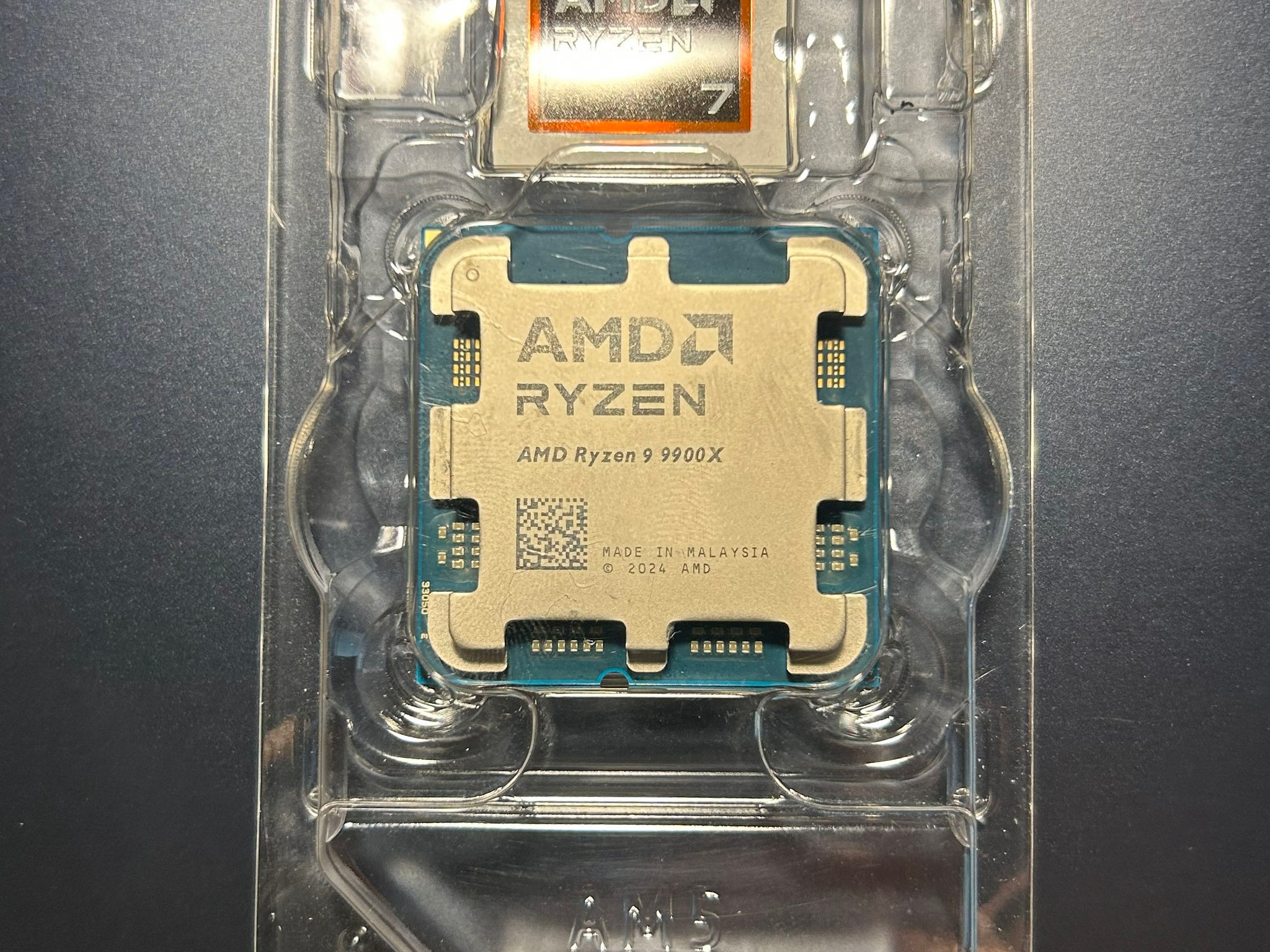 AMD Ryzen 9 9900X