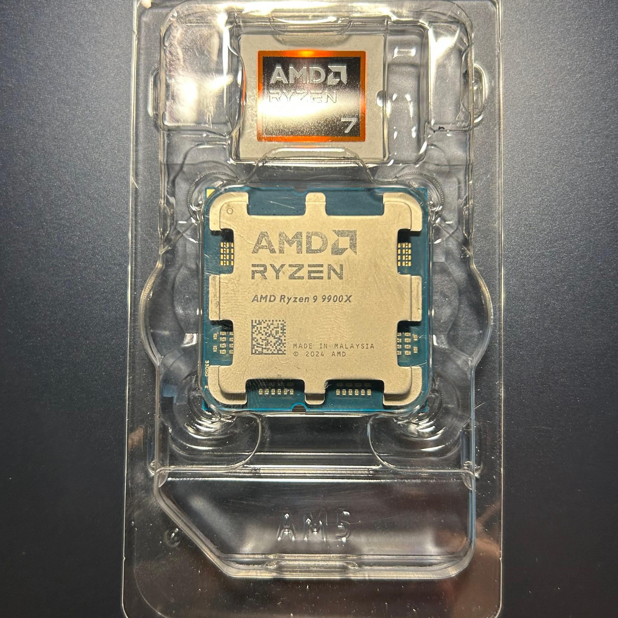 AMD Ryzen 9 9900X