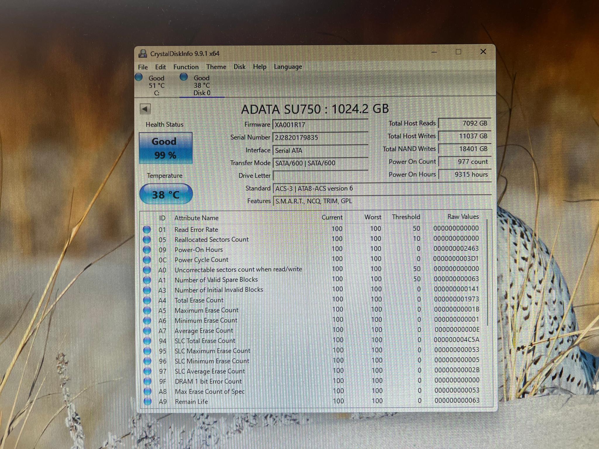 ADATA Ultimate SU750 1TB - Image 3