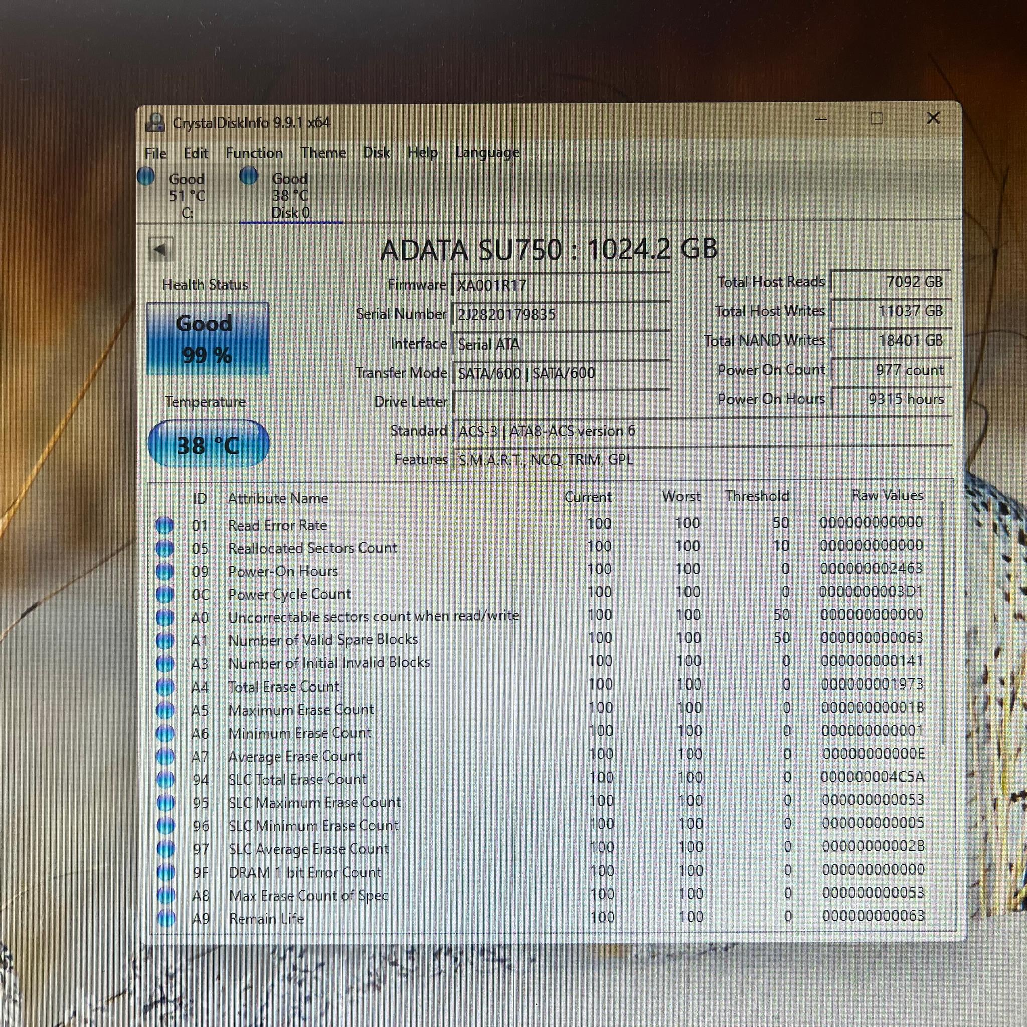 1TB ADATA Ultimate SU750 SATA SSD 99% Health