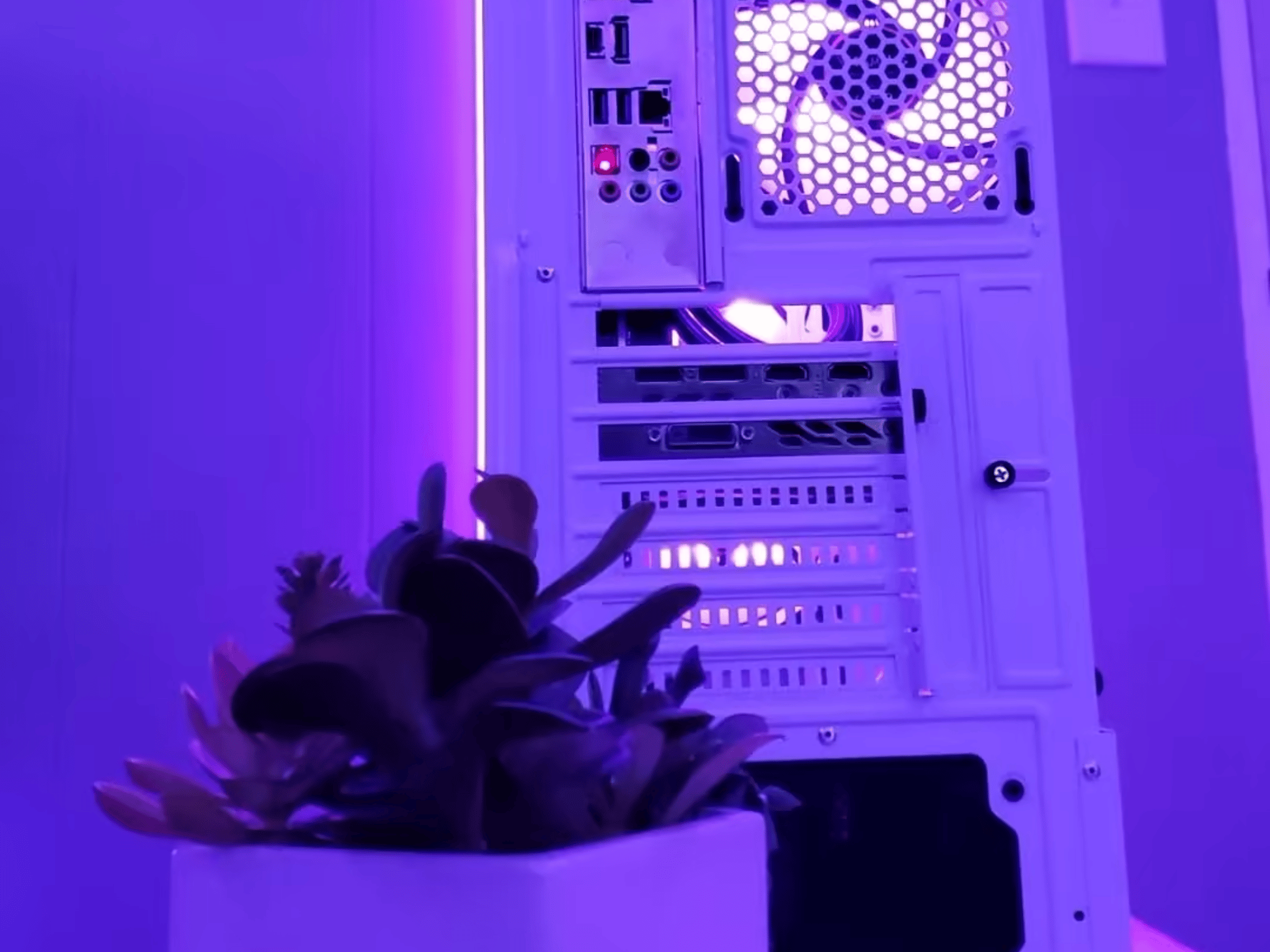 "Socotra" | i5 10400f - GTX 1080ti