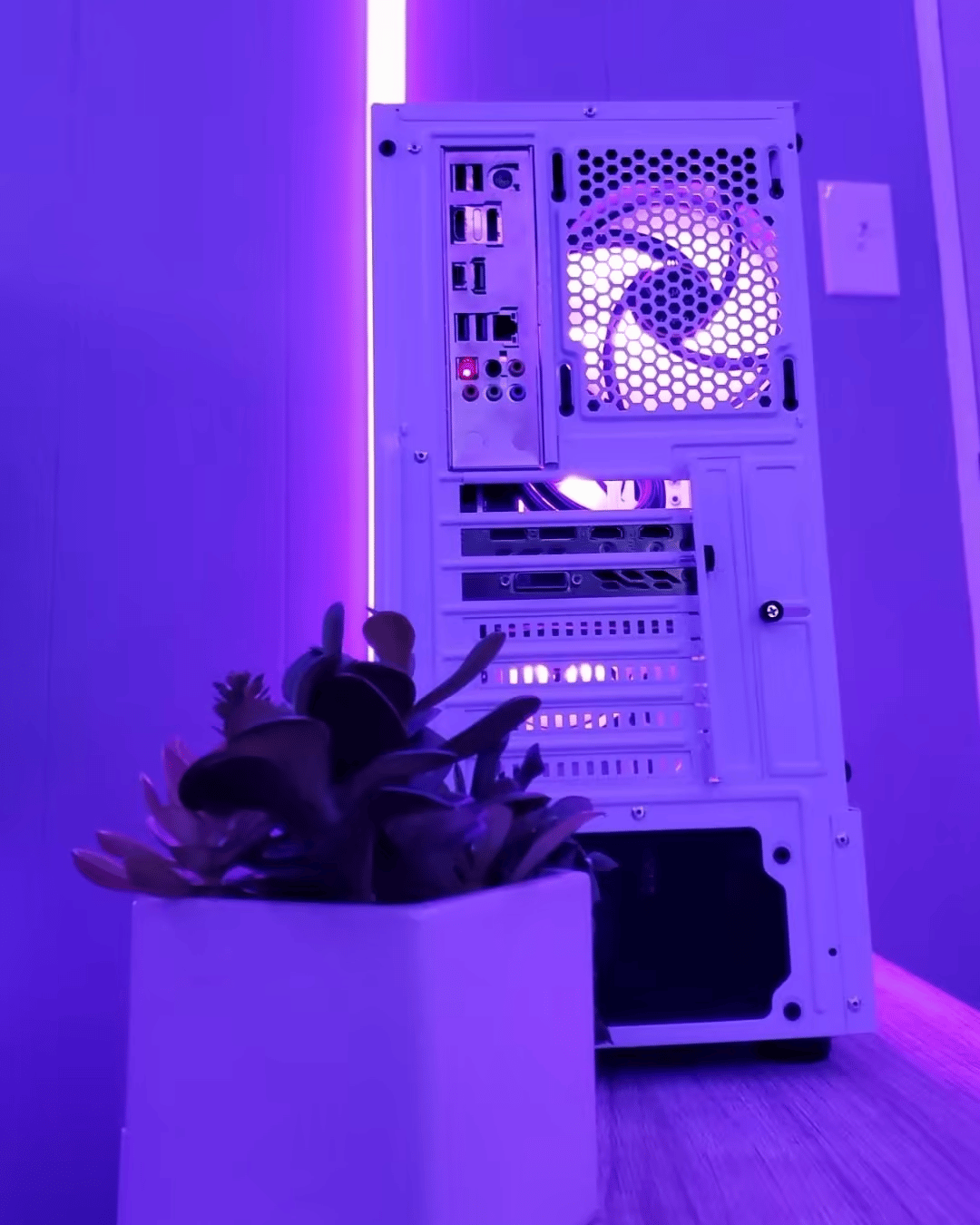 "Socotra" | i5 10400f - GTX 1080ti