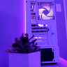 "Socotra" | i5 10400f - GTX 1080ti