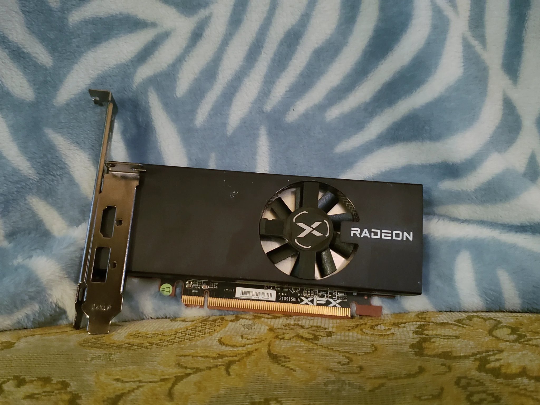 XFX Speedster RX 6400 | Budget Gaming GPU