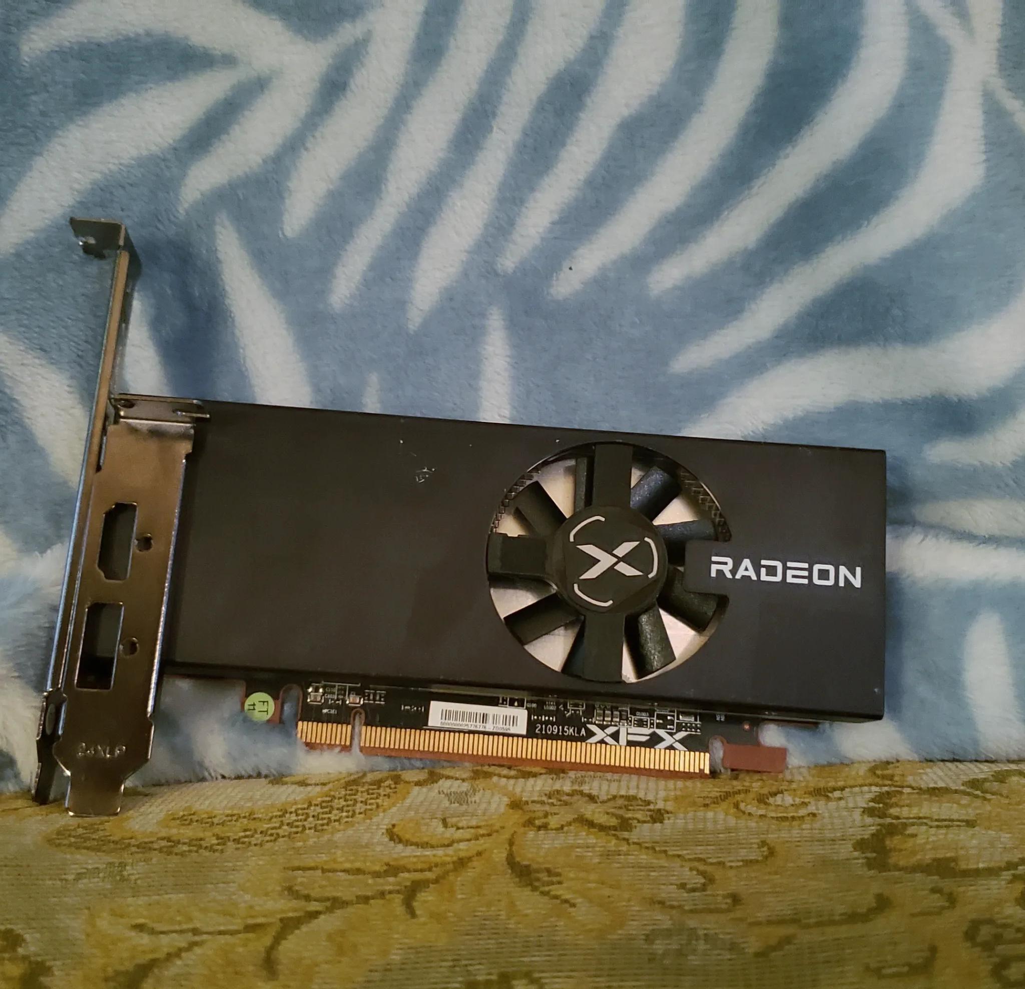 XFX Speedster RX 6400 | Budget Gaming GPU
