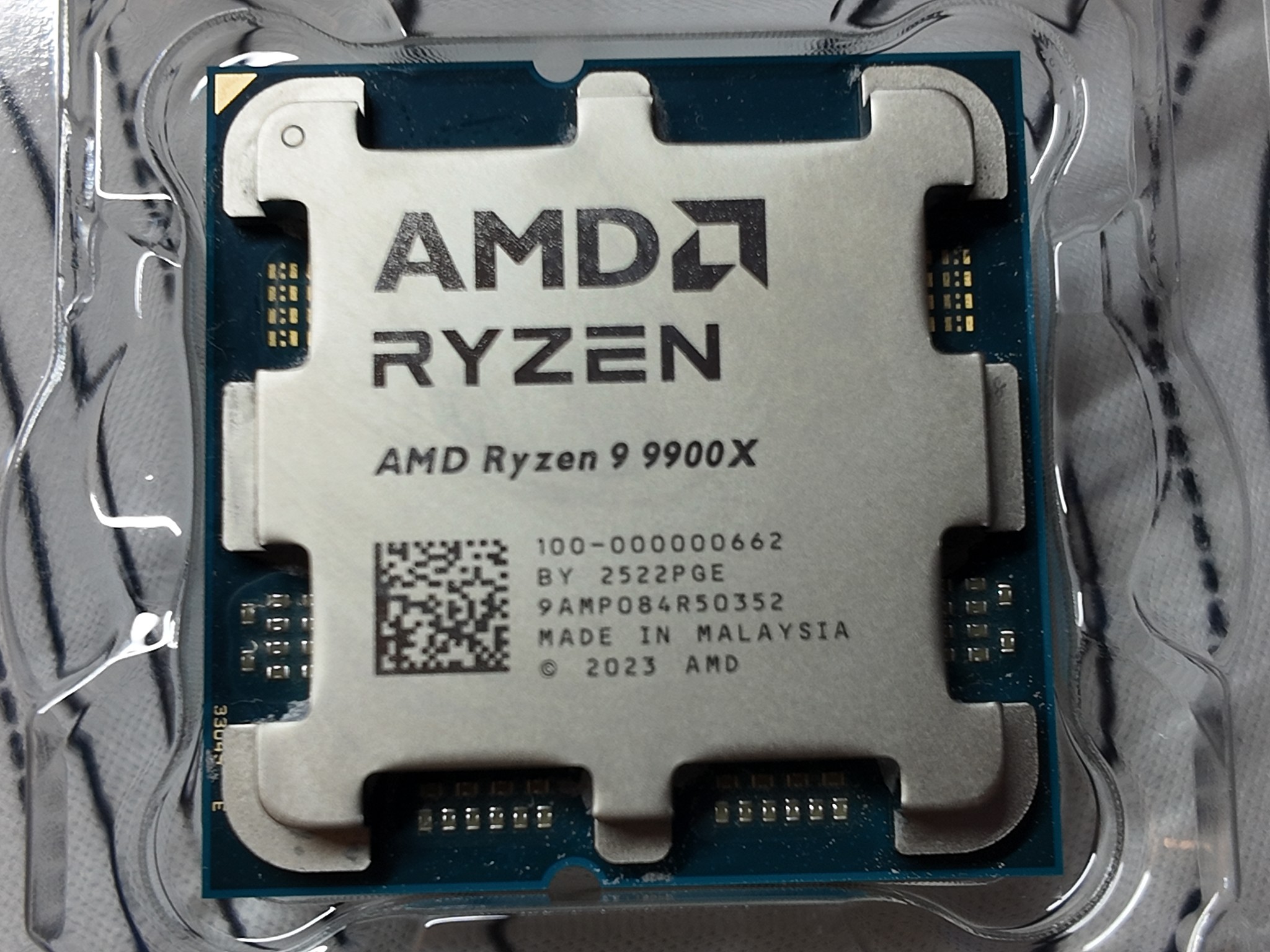 AMD Ryzen 9 9900X