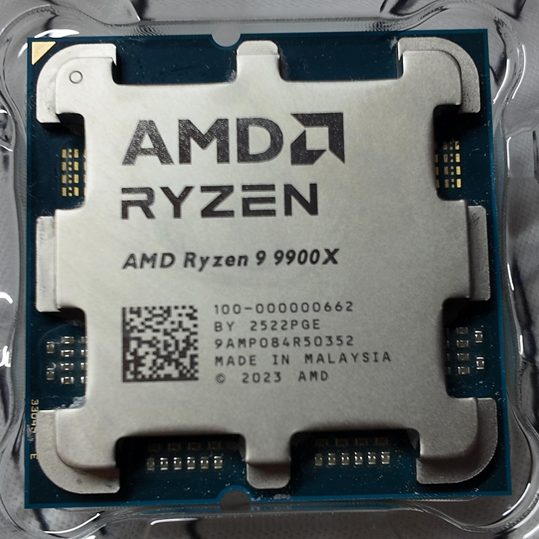 AMD Ryzen 9 9900X