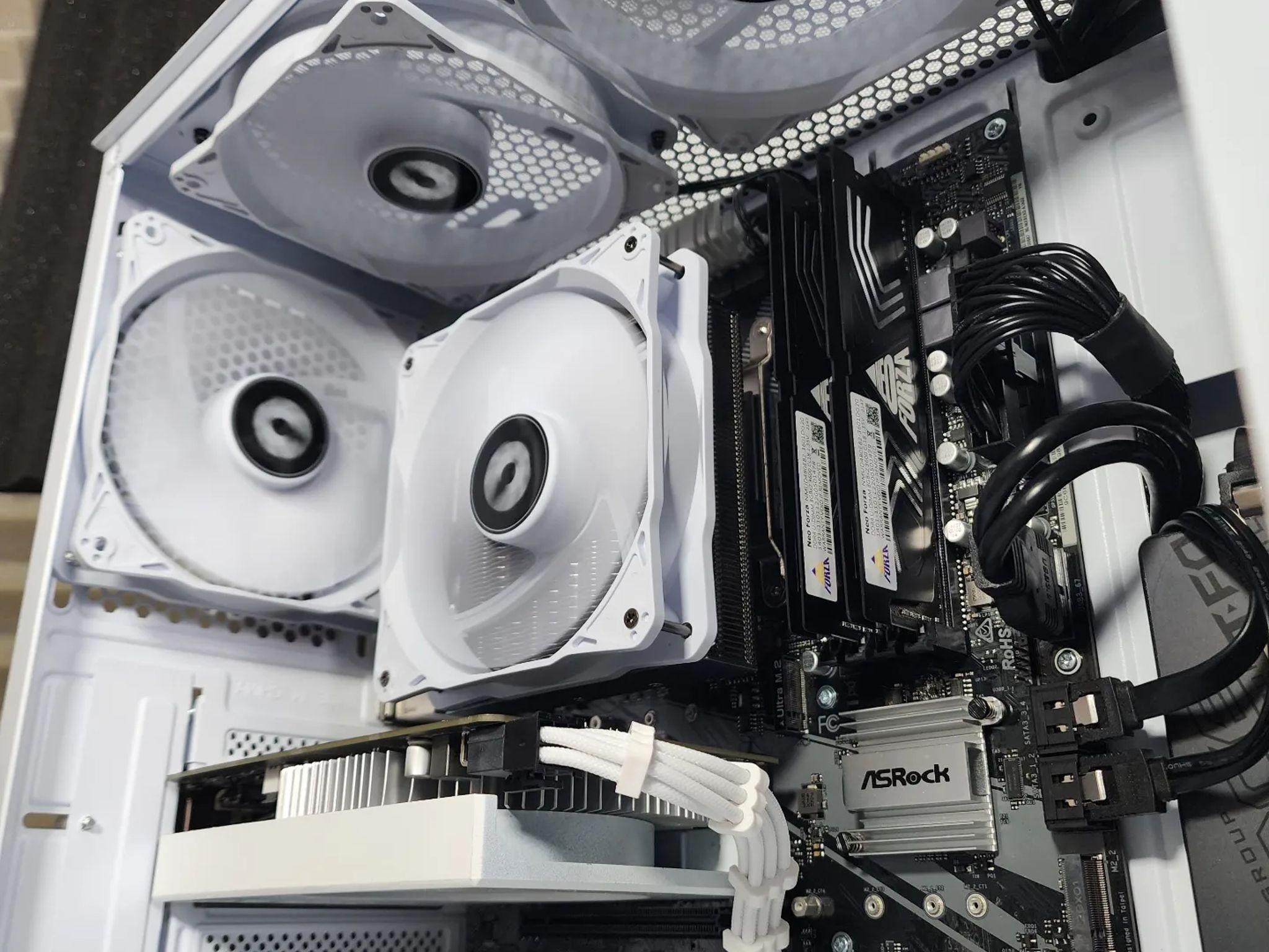 🐻‍❄🐻‍❄🐻‍❄ Nvidia GTX 1650 Super // Ryzen 5 3500X // Neo Forza 16GB 3600MHz