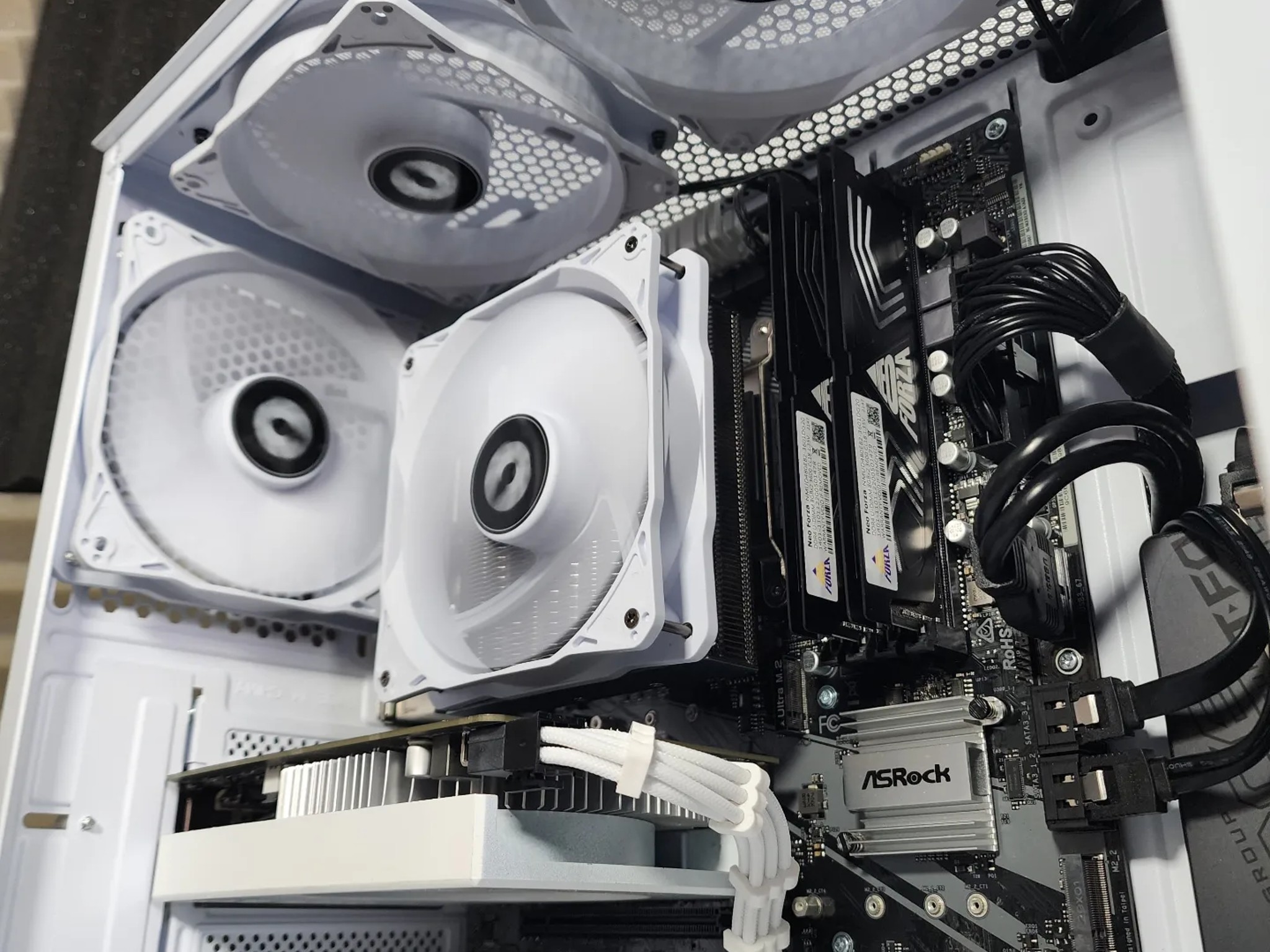 🐻‍❄🐻‍❄🐻‍❄ Nvidia GTX 1650 Super // Ryzen 5 3500X // Neo Forza 16GB 3600MHz