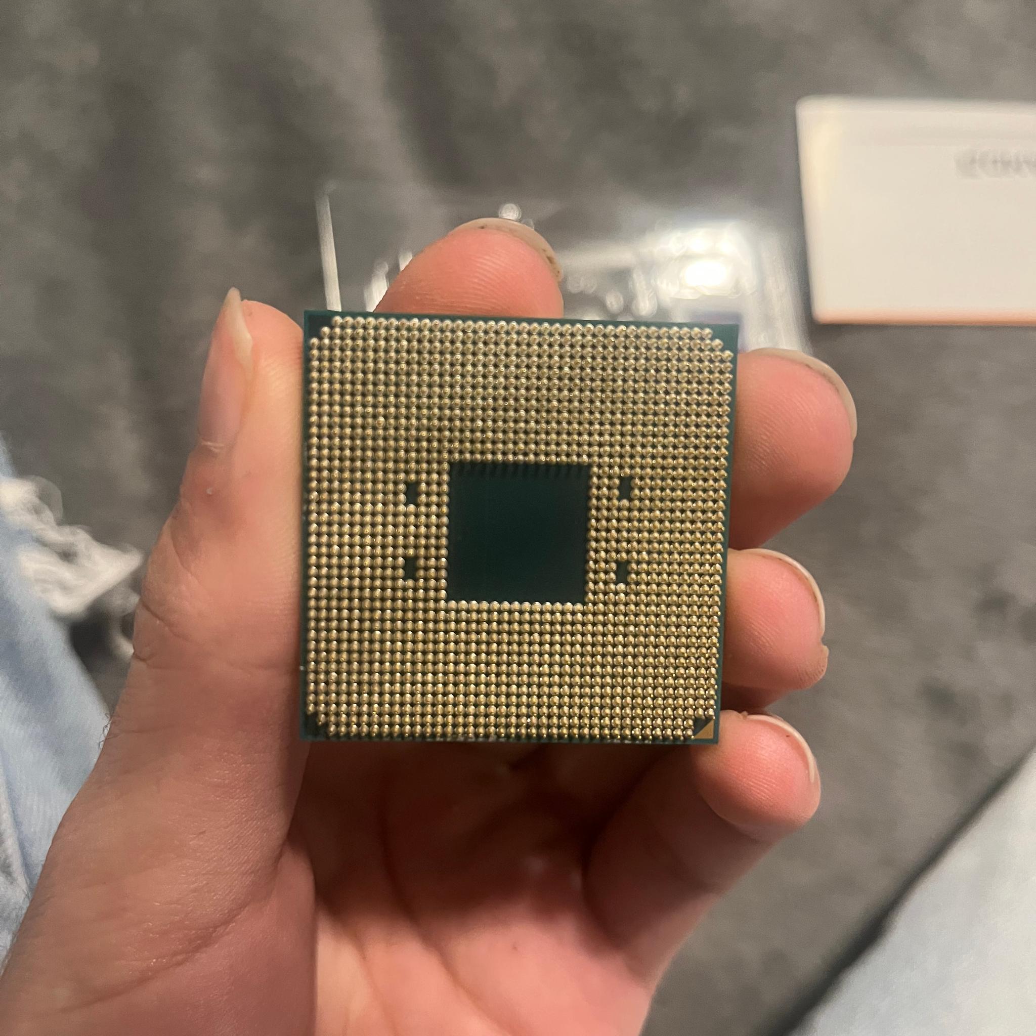 AMD Ryzen 5 3600
