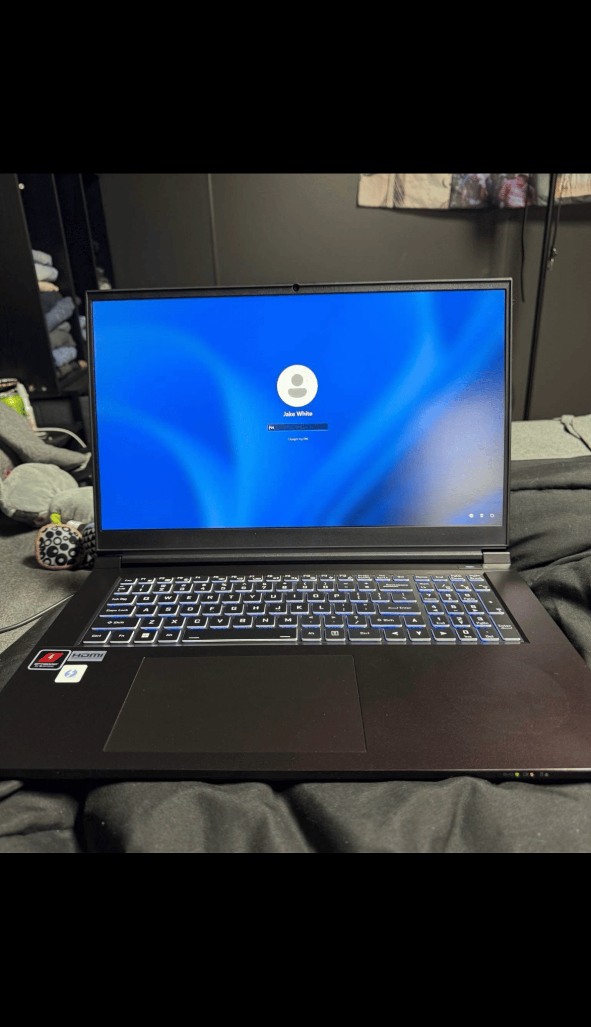Intel i9 13900H and RTX 3060 laptop