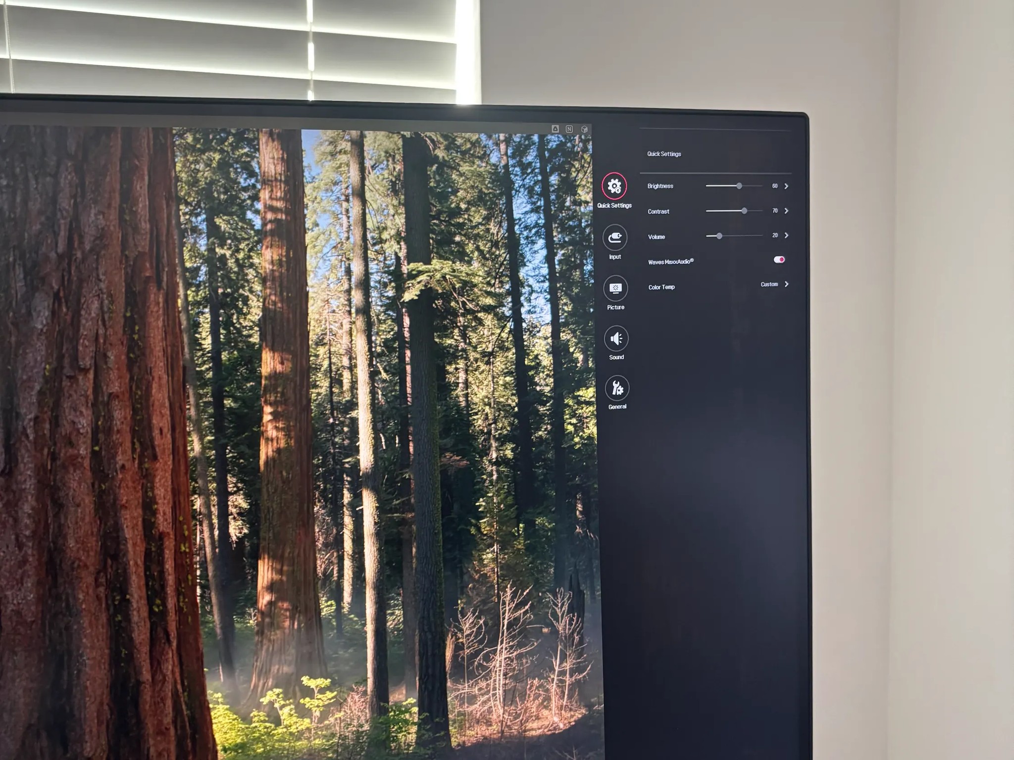 LG 4k Monitor