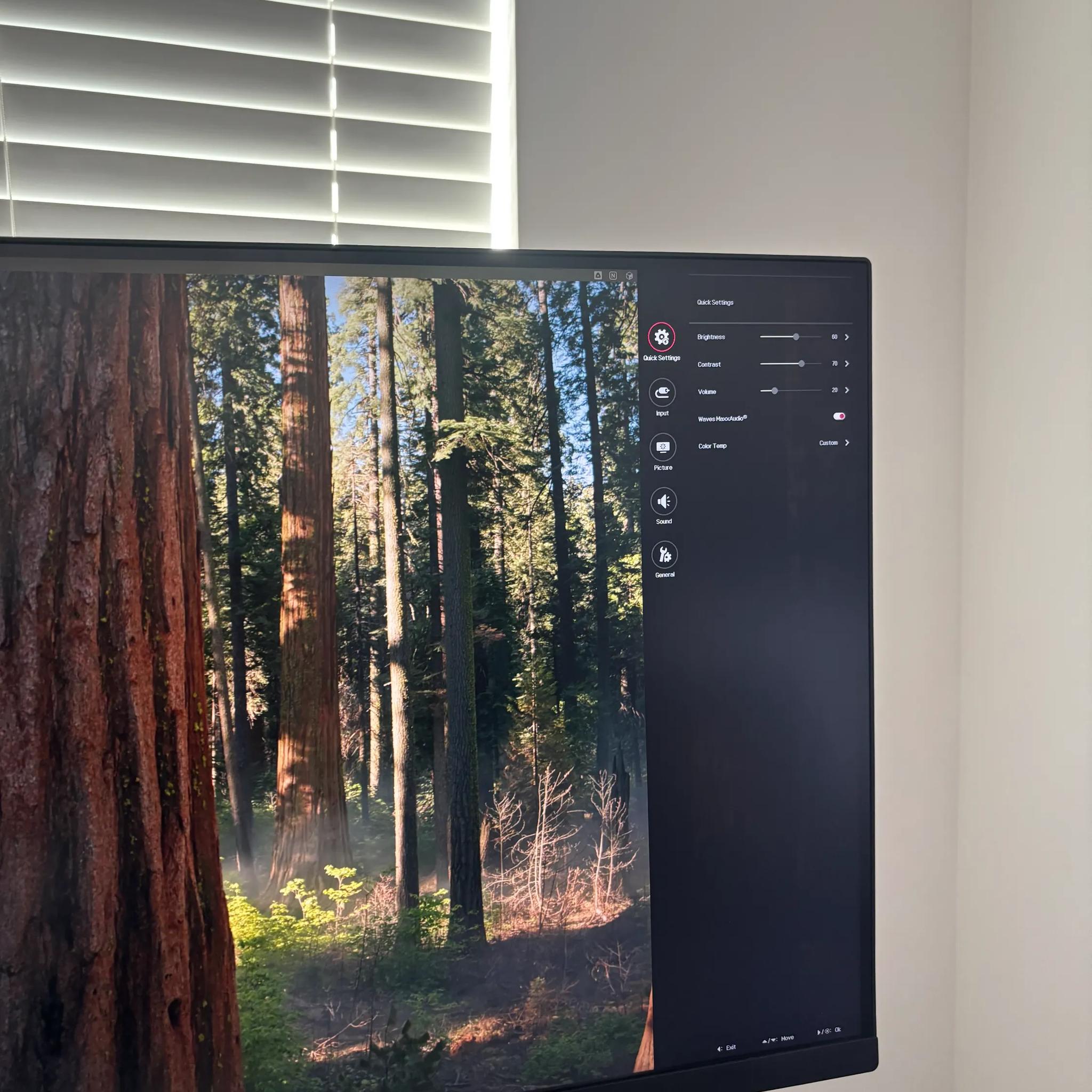 LG 4k Monitor