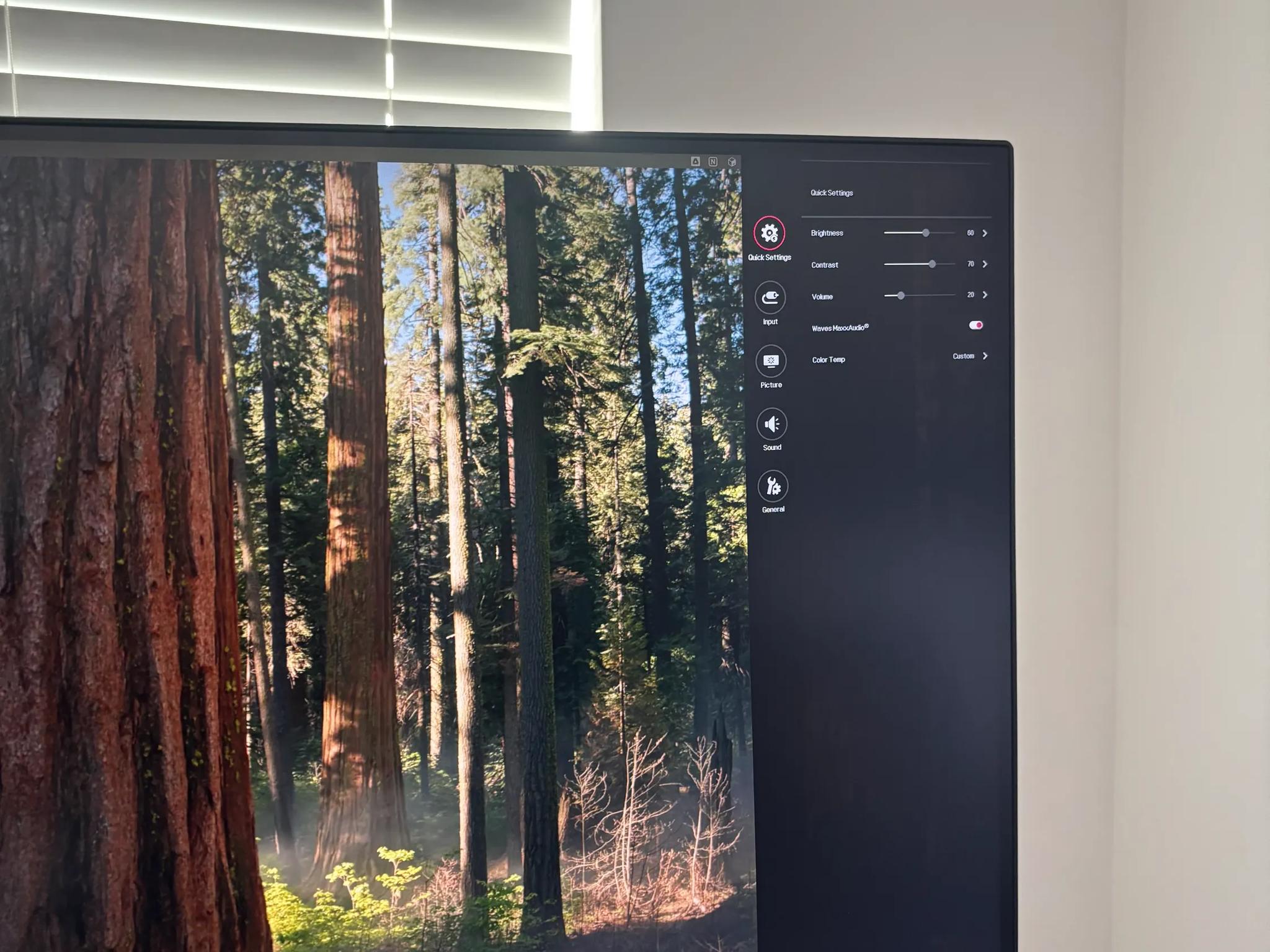 LG 4k Monitor