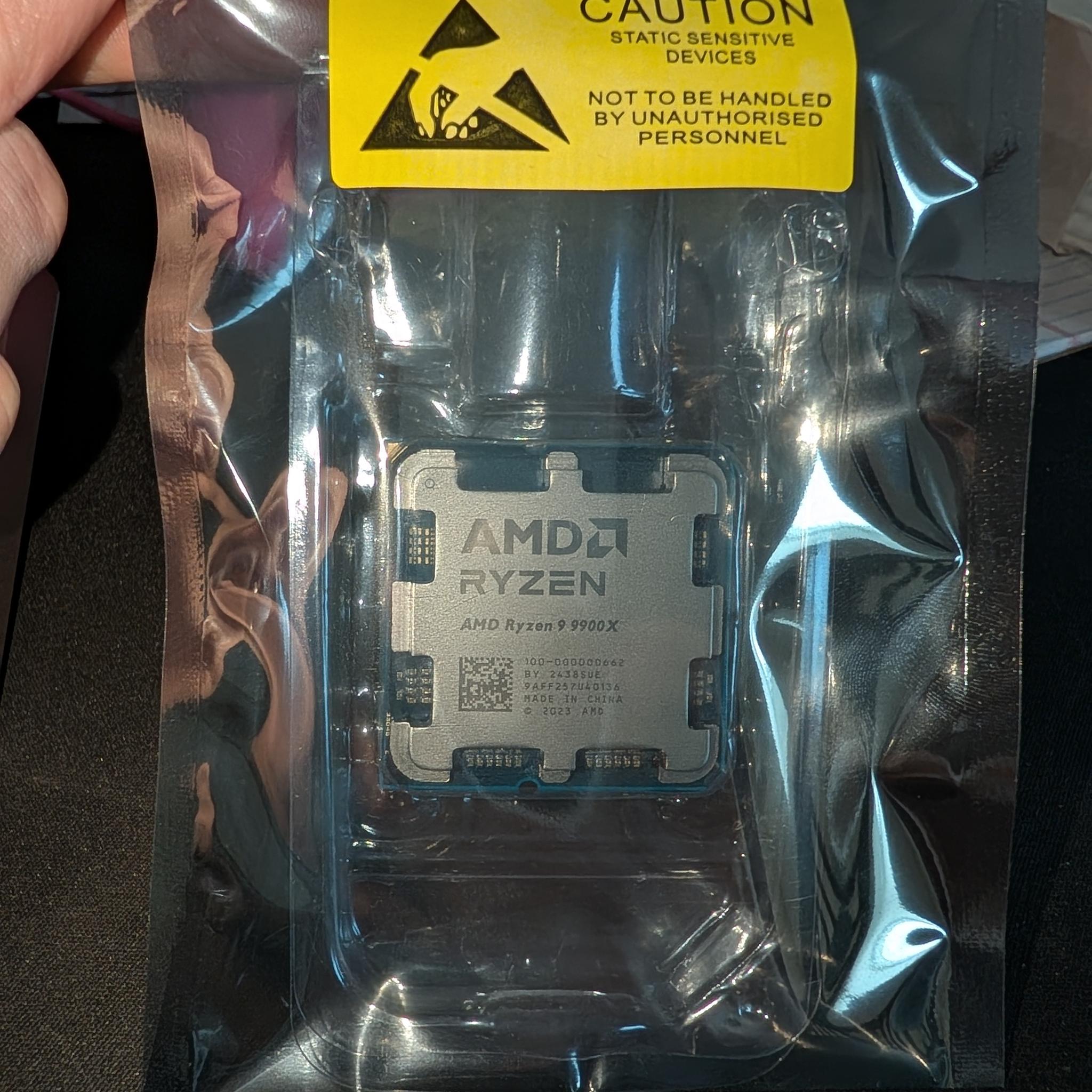AMD Ryzen 9 9900X