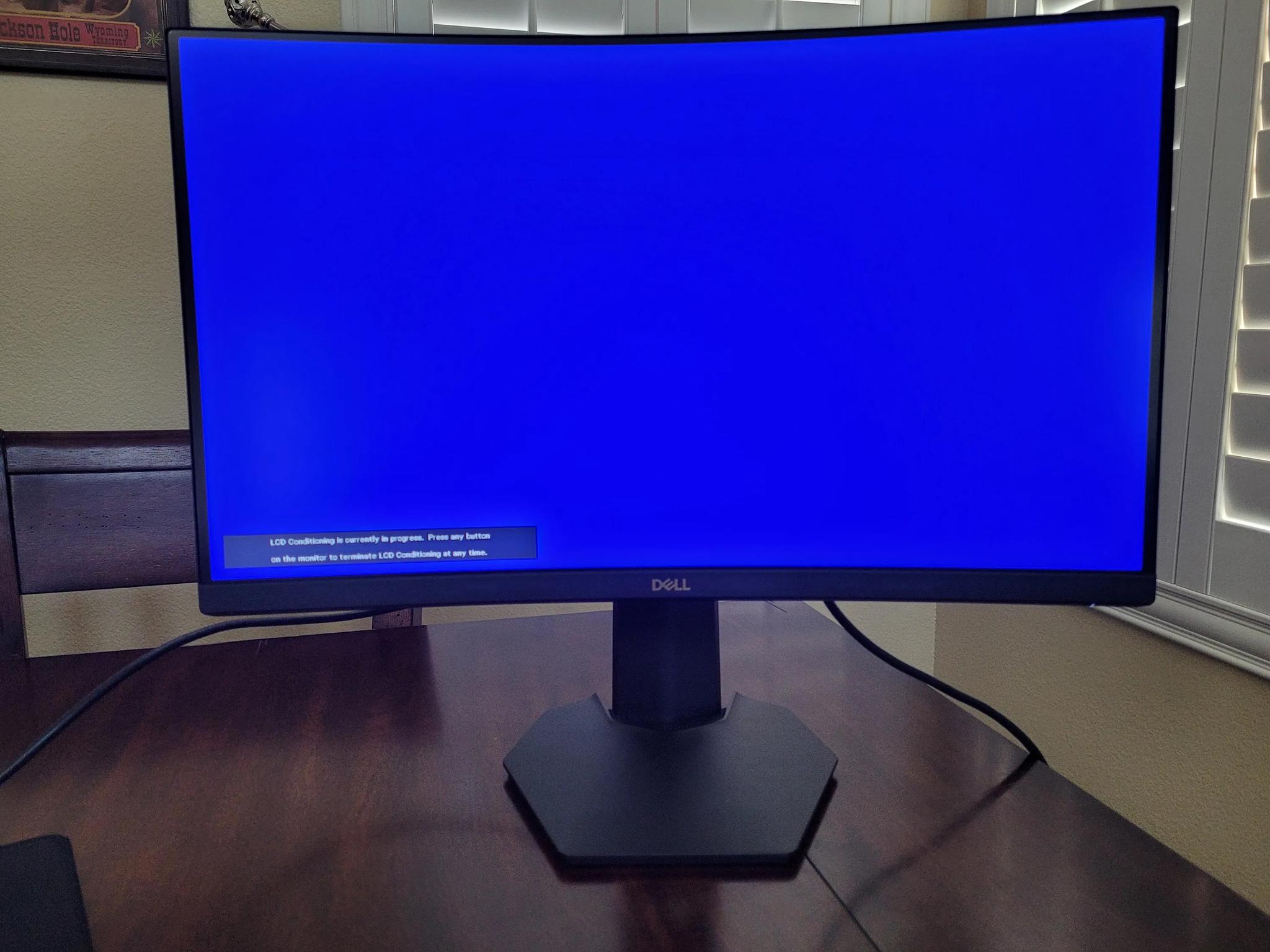 Dell S2422HG 23.6" (1080p/165 Hz/Curved Monitor)