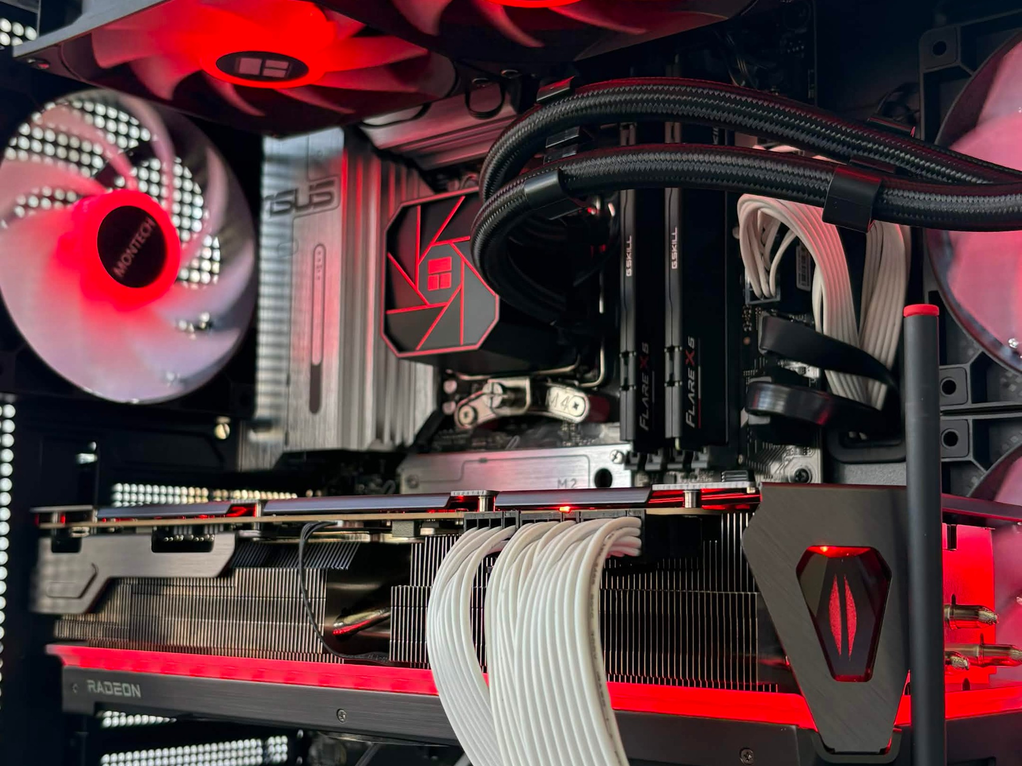 Ryzen 7 9700X • RX 7900 XTX 24GB • 32GB DDR5 • X870 WiFi 🖤 Black Cat Customs – Crimson Fang 🖤