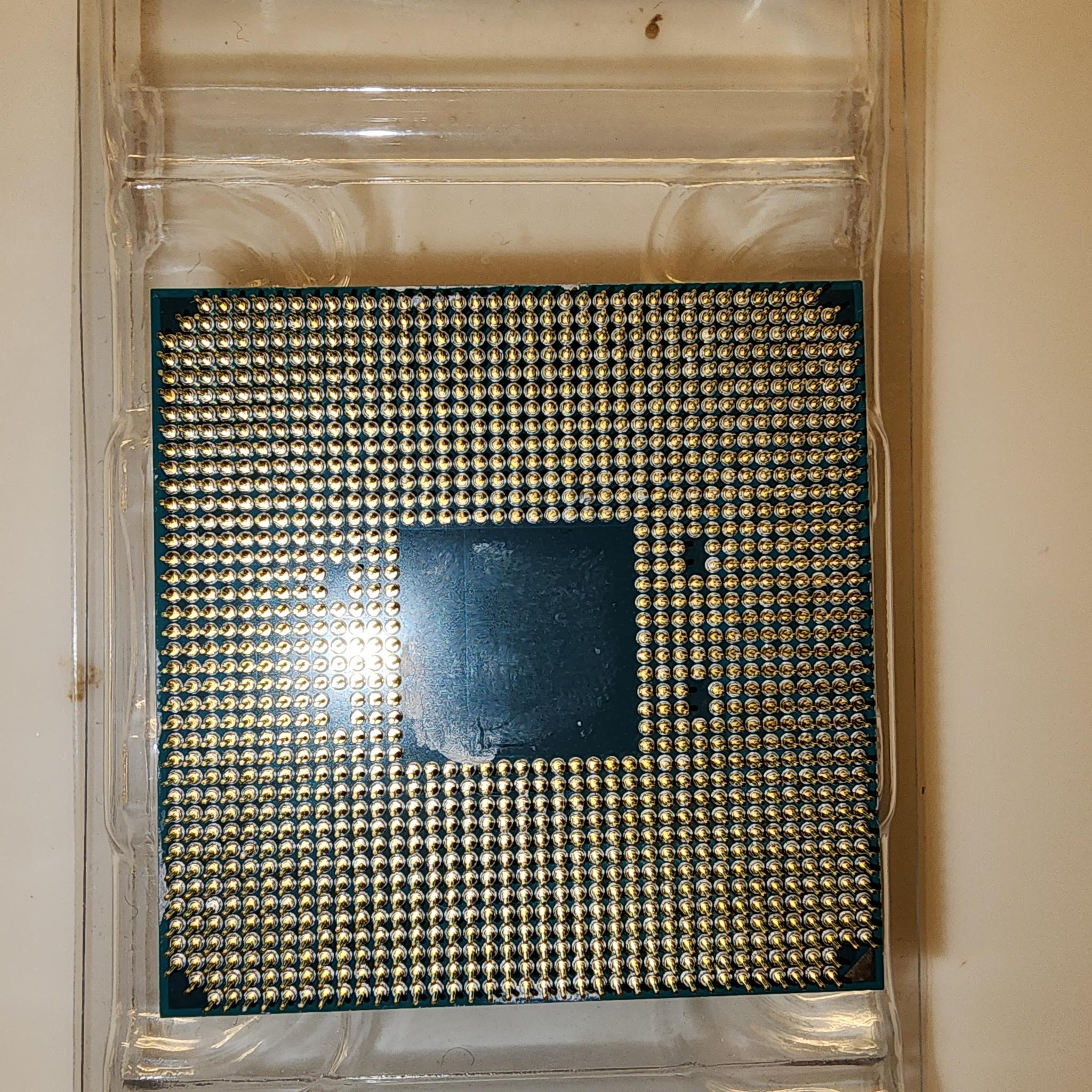 AMD Ryzen 5 3600