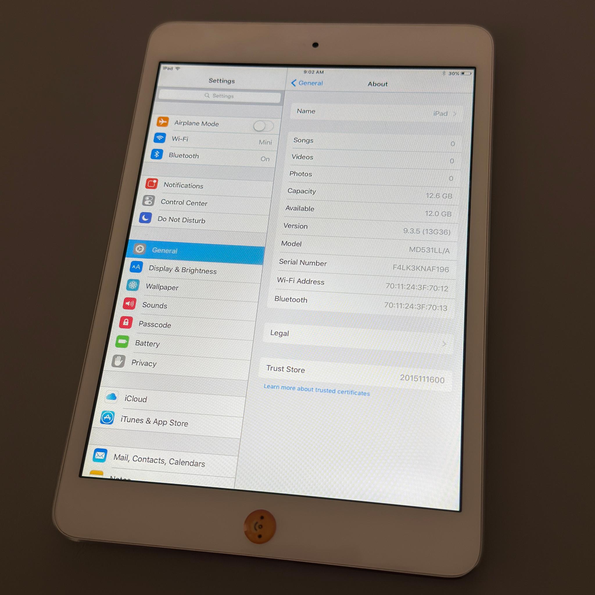 iPad mini