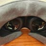 Meta Quest 3 - 128GB - Plus Zyber Comfort Strap, VRCover Facial Interface, and AMVR Controller Grips