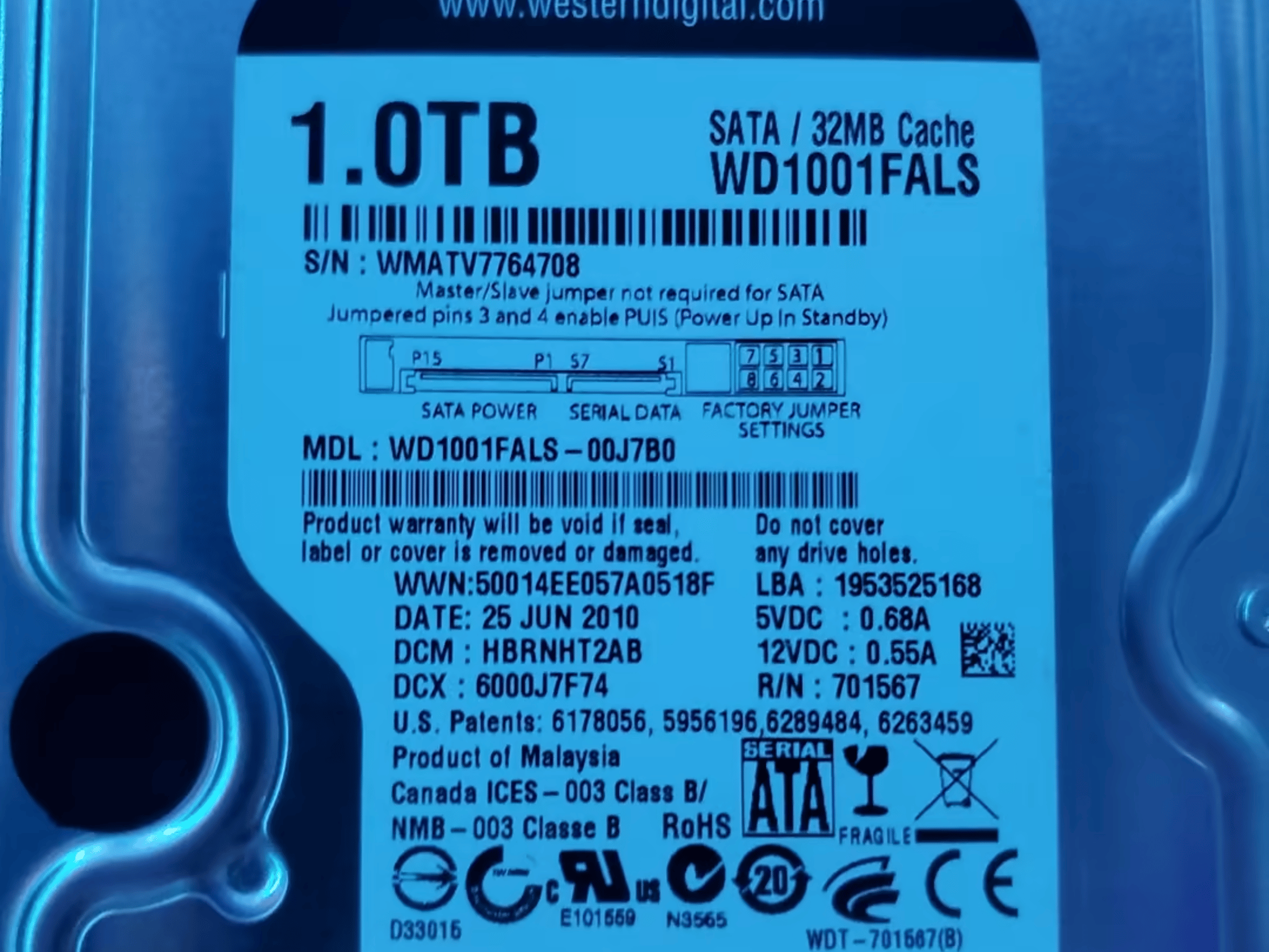 Western Digital Caviar Black 1TB HD for Sena