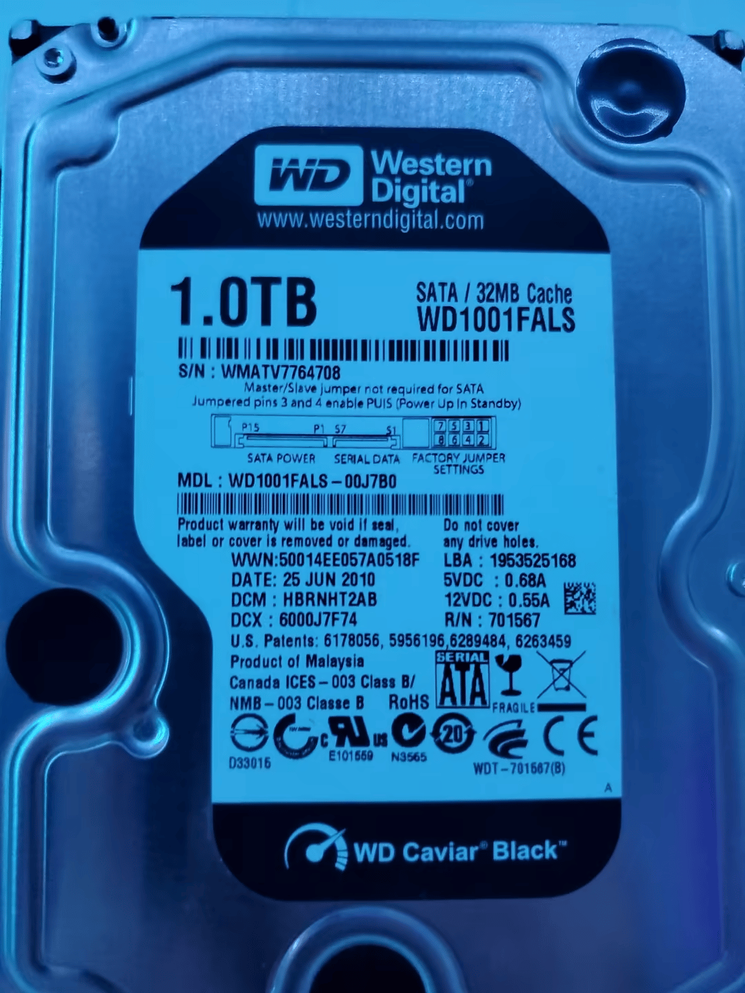 Western Digital Caviar Black 1TB HD for Sena