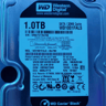 Western Digital Caviar Black 1TB HD for Sena